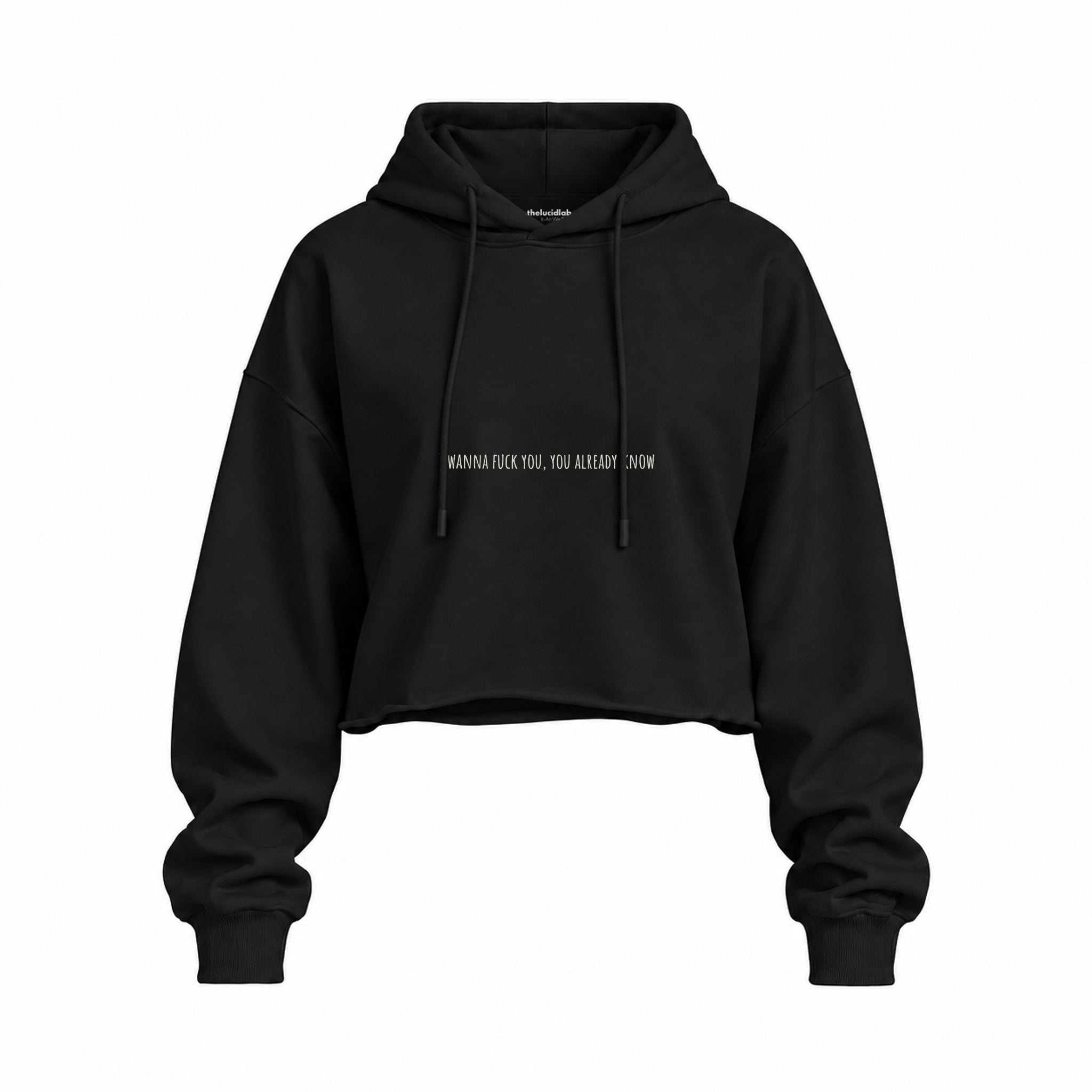 I Wanna Fuck You, You Already Know Oversize Crop Hoodie — Siyah — Ön baskı