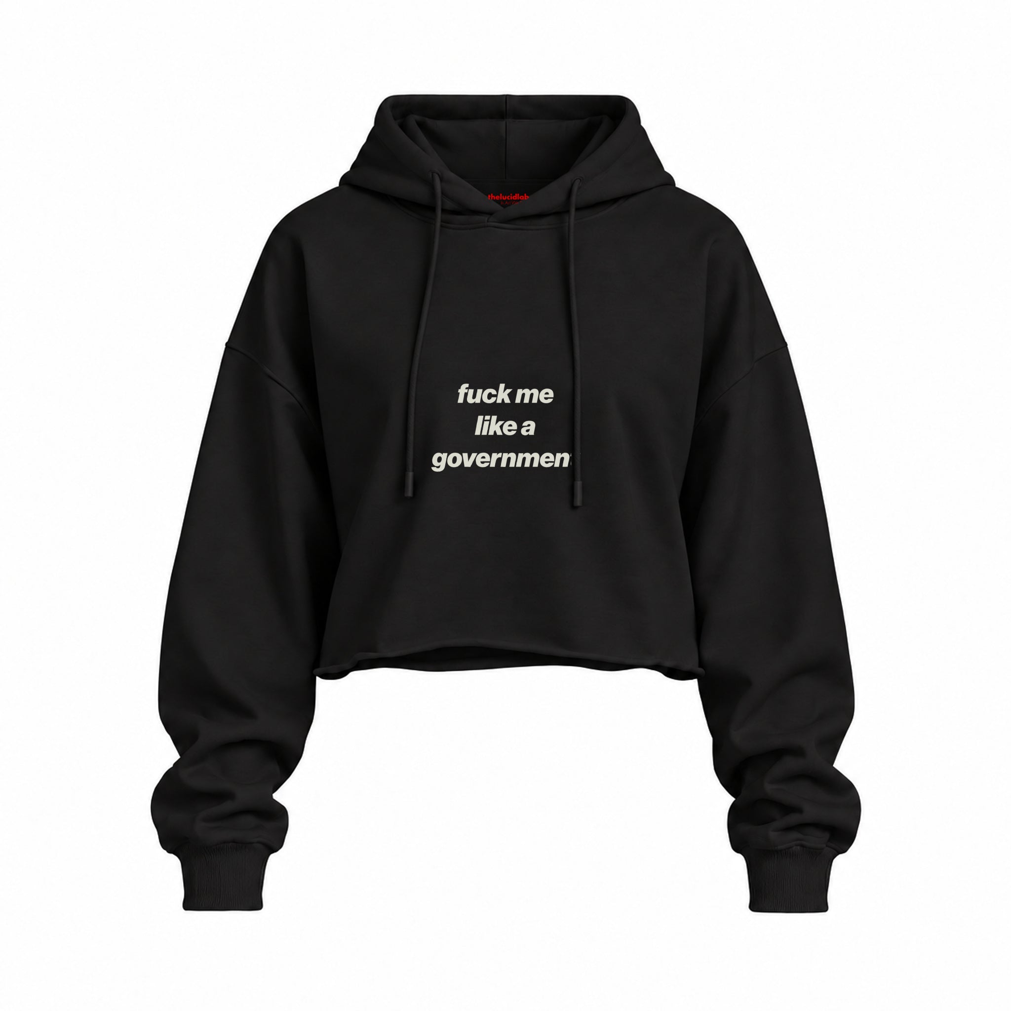 Fuck Me Like the Government Oversize Crop Hoodie — Siyah — Ön baskı
