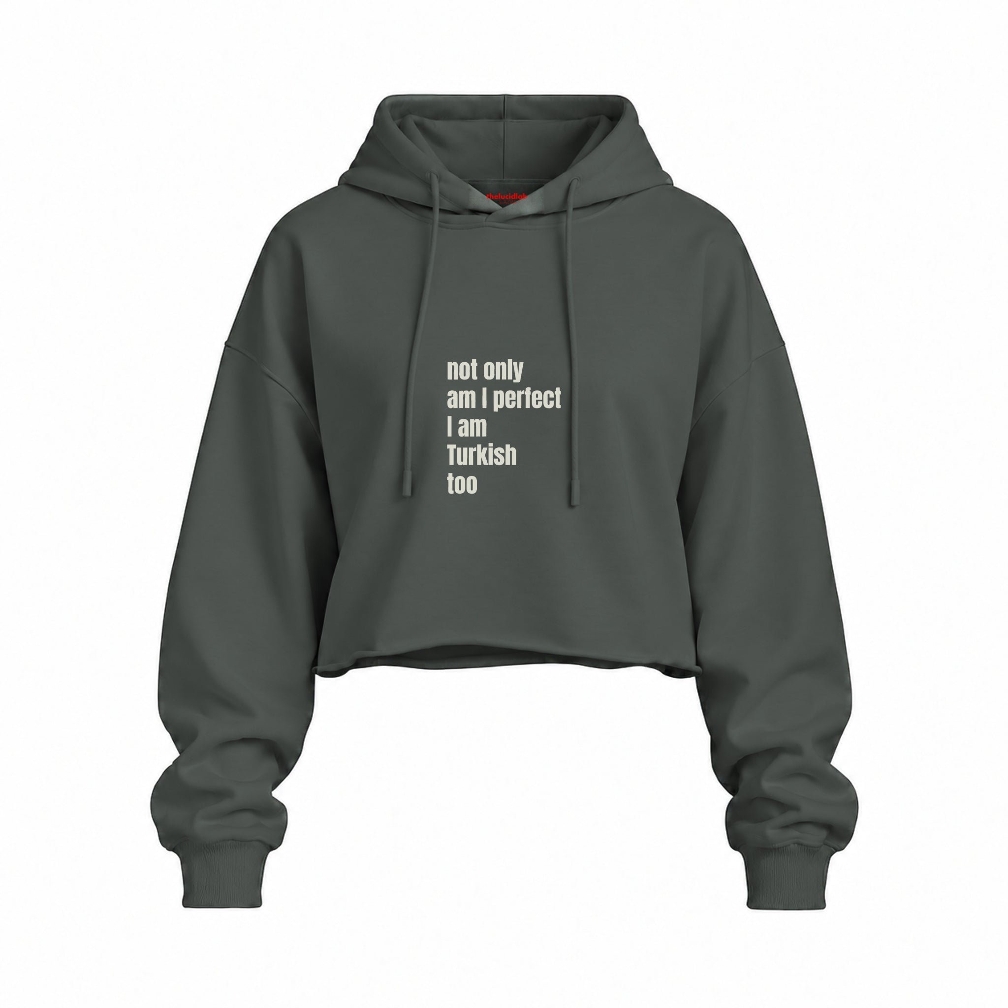 I Am Turkish Too Oversize Crop Hoodie — Antrasit — Ön baskı