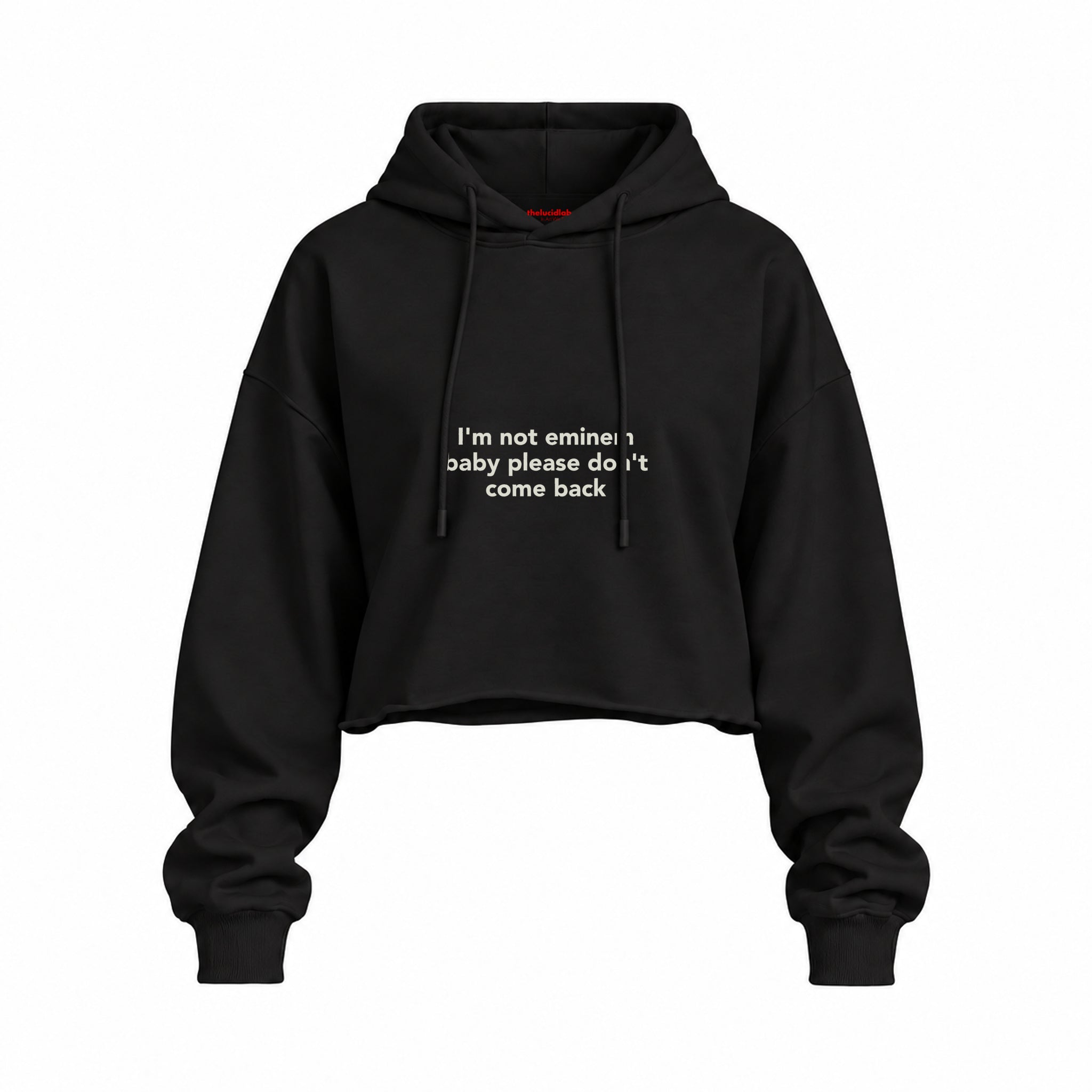 I'm Not Eminem Oversize Crop Hoodie — Siyah — Ön baskı