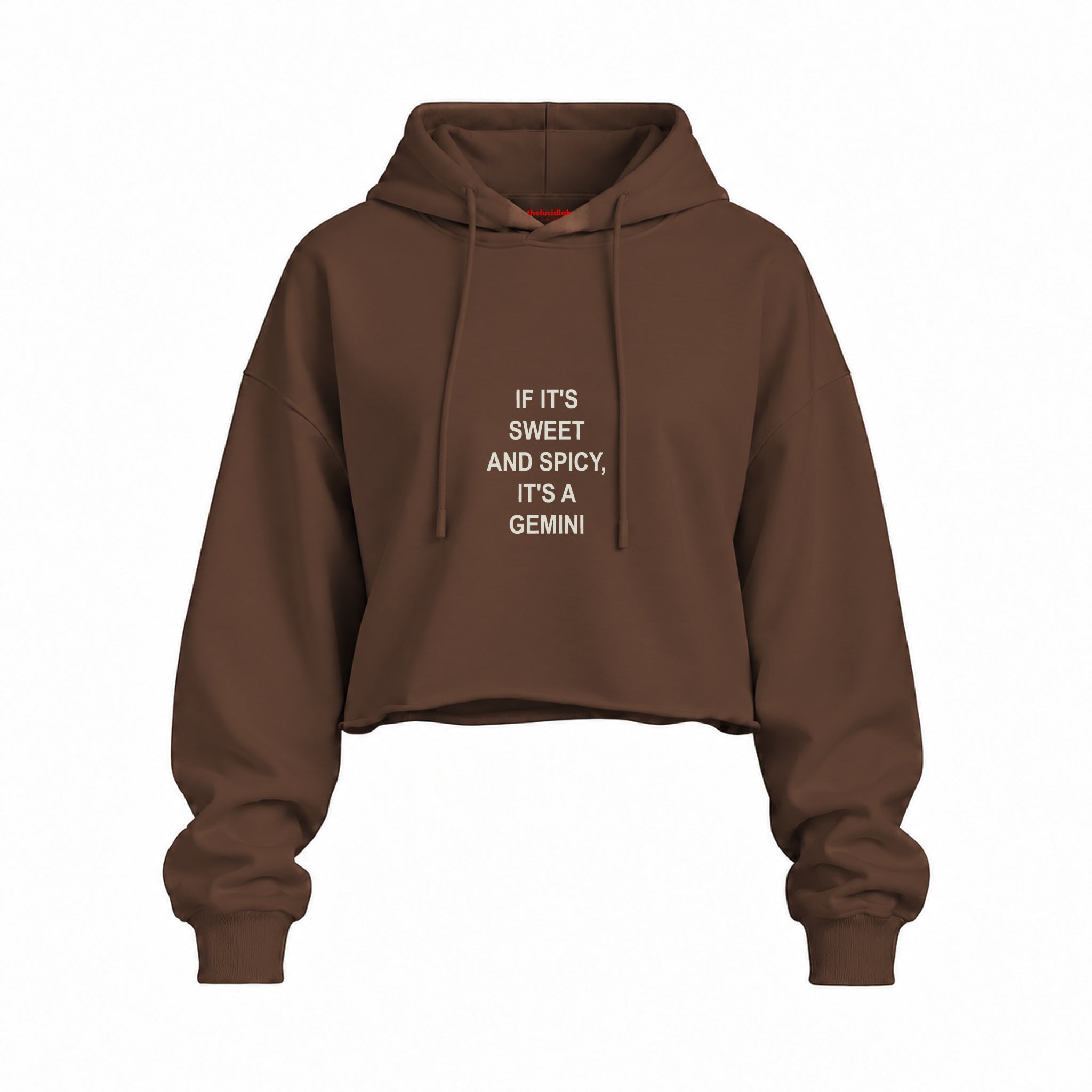 It's a Gemini Oversize Crop Hoodie — Kahverengi — Ön baskı