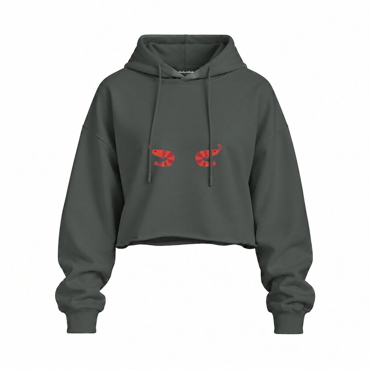 Nice Shrimps Oversize Crop Hoodie — Antrasit — Ön baskı