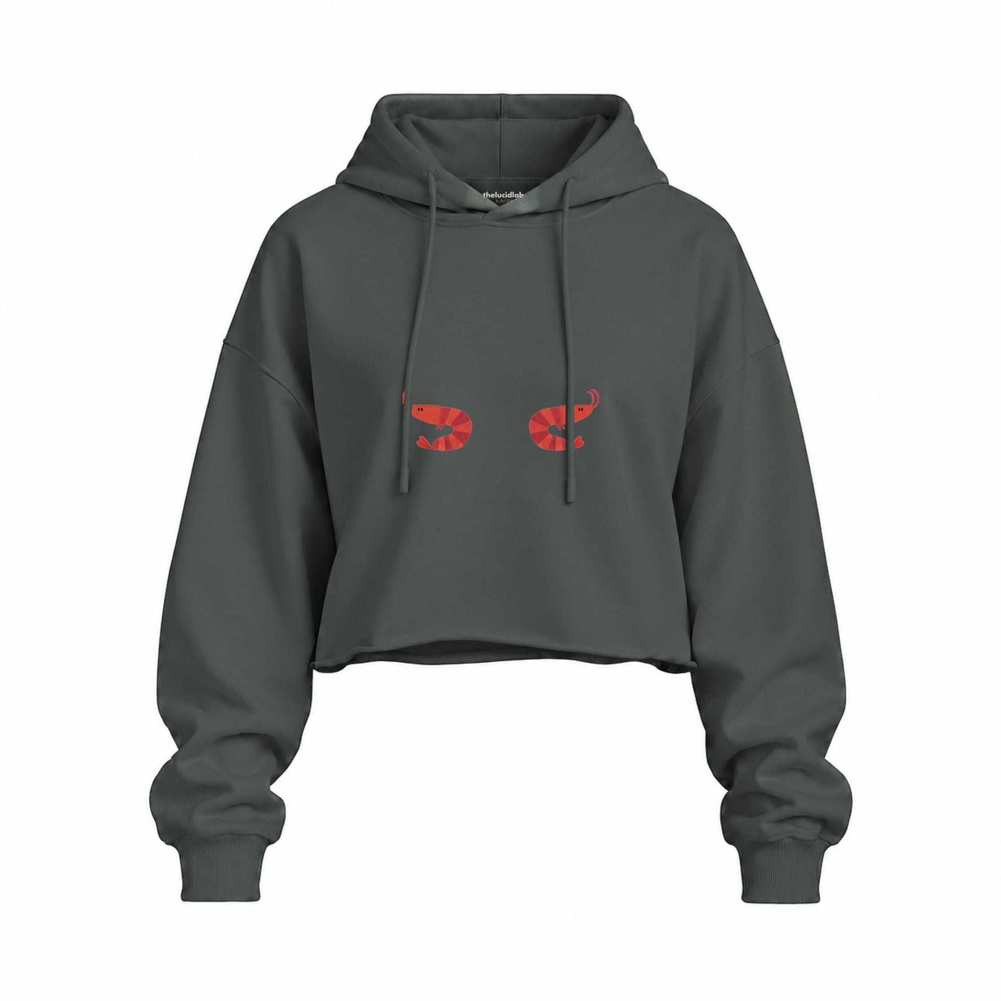 Nice Shrimps Oversize Crop Hoodie — Antrasit — Ön baskı