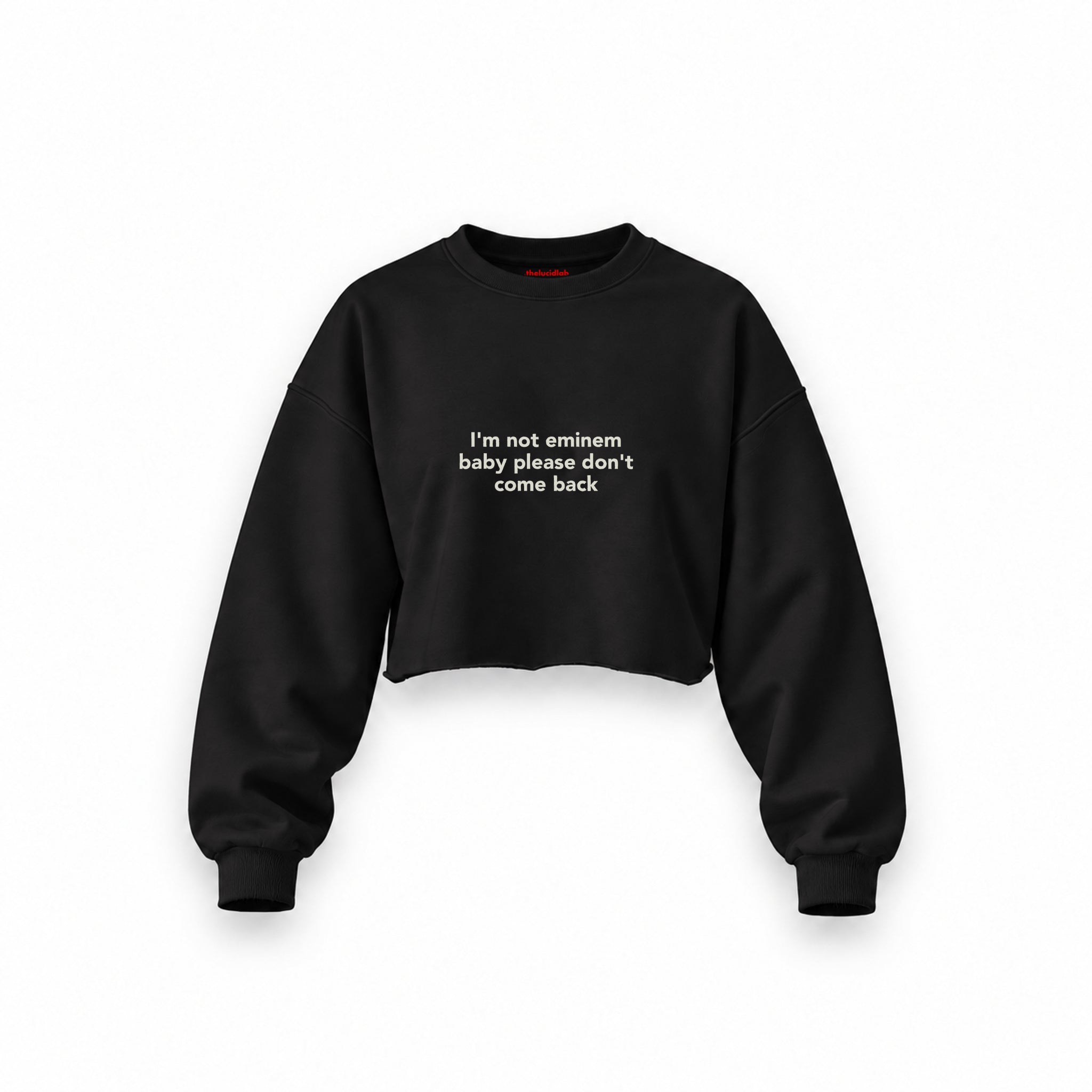 I'm Not Eminem Oversize Crop Sweatshirt — Siyah — Ön baskı
