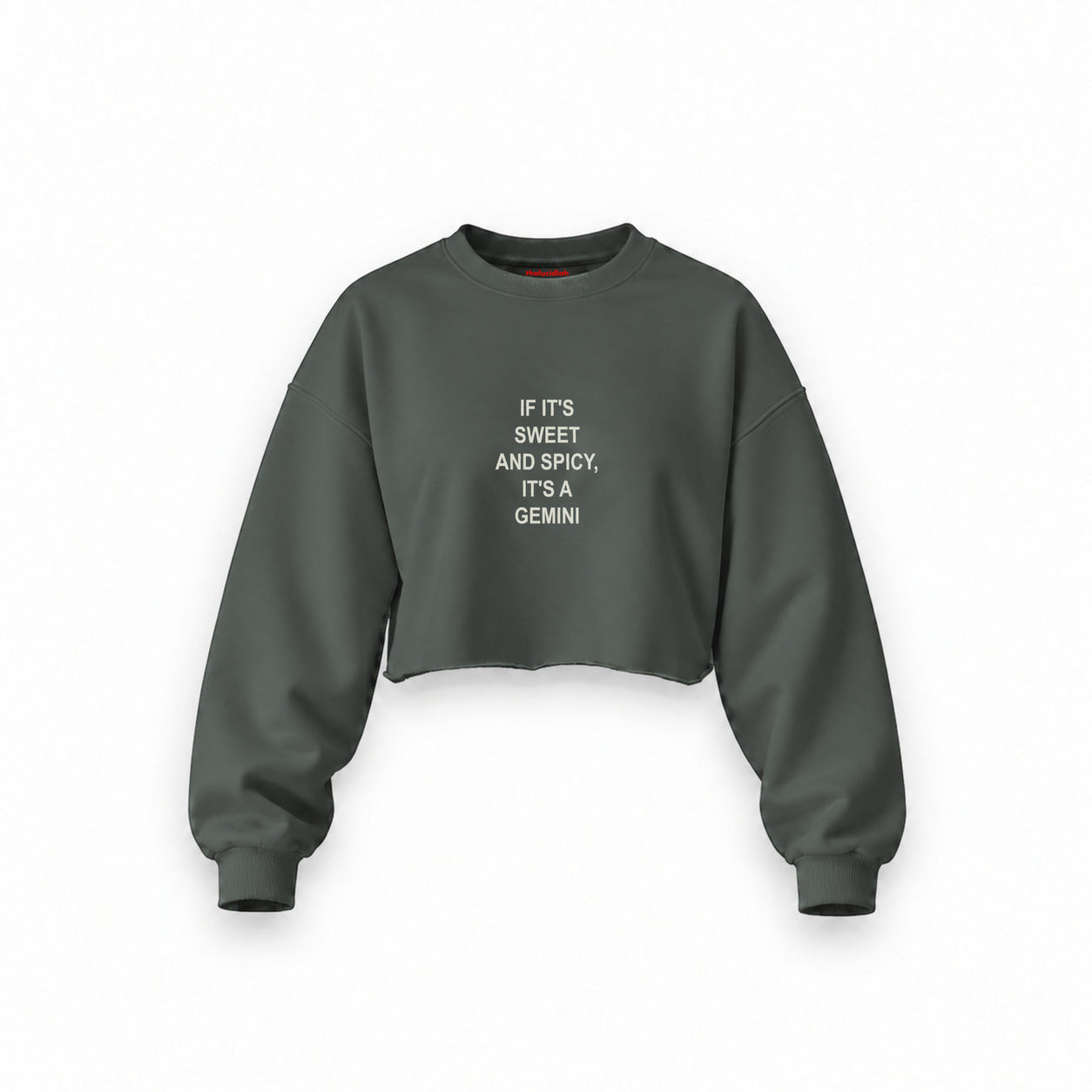 It's a Gemini Oversize Crop Sweatshirt — Antrasit — Ön baskı
