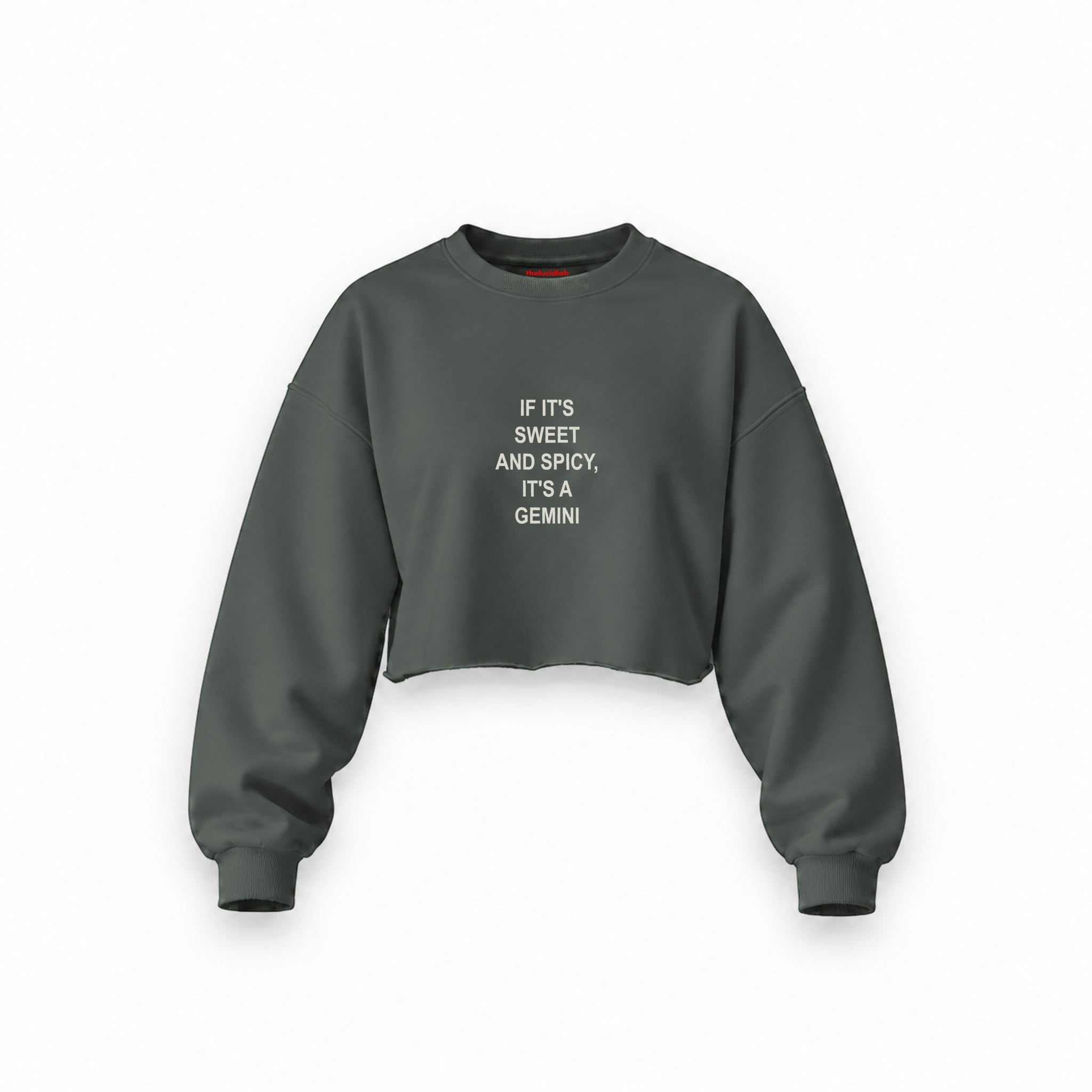 It's a Gemini Oversize Crop Sweatshirt — Antrasit — Ön baskı