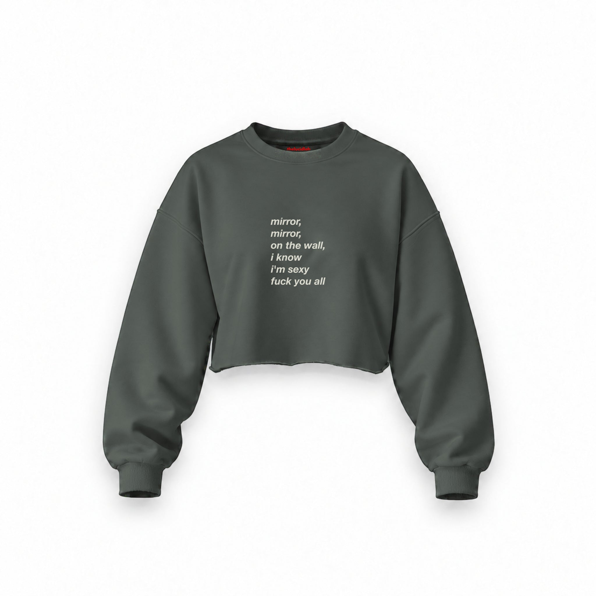 Mirror, Mirror Oversize Crop Sweatshirt — Antrasit — Ön baskı