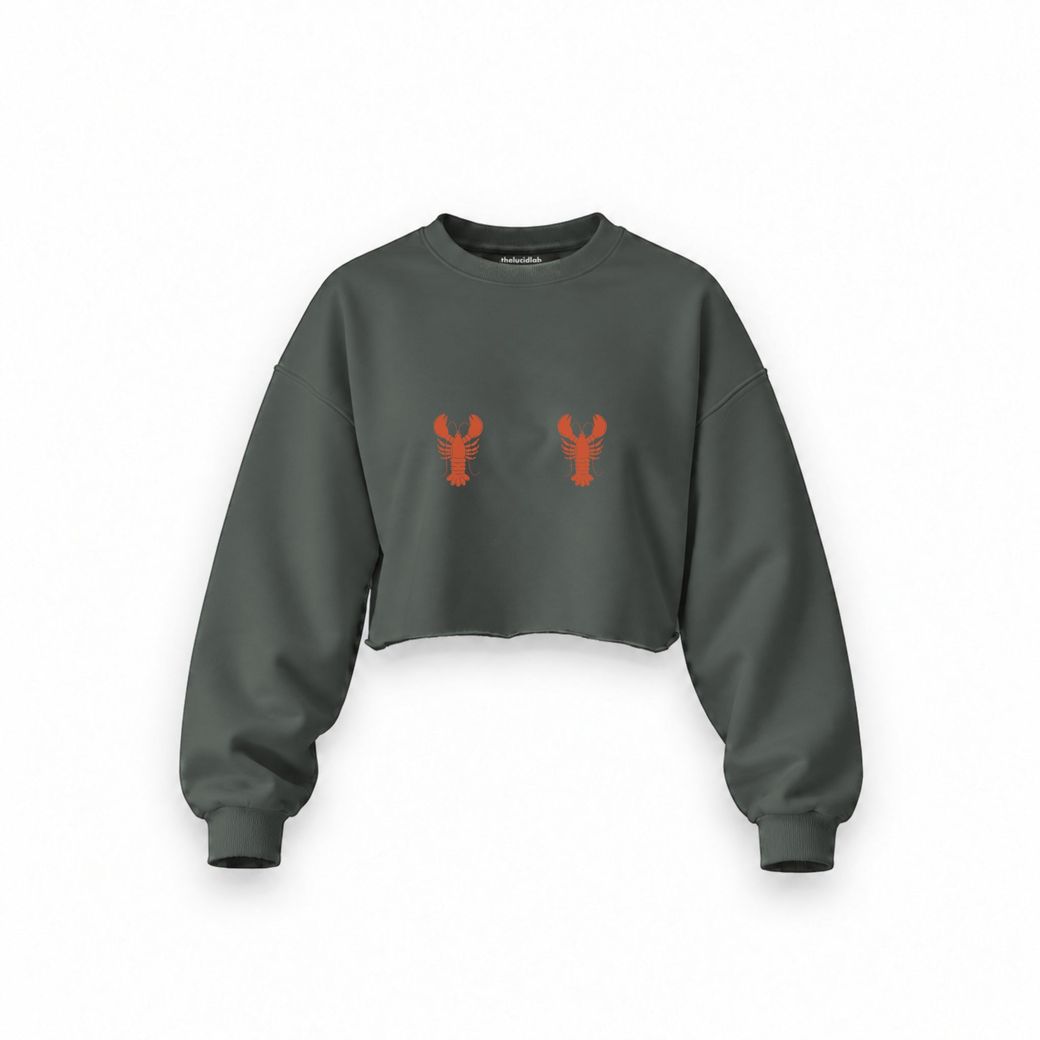 Hot Lobsters Oversize Crop Sweatshirt — Antrasit — Ön baskı