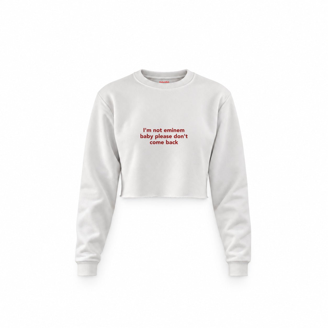 I'm Not Eminem Crop Sweatshirt — Beyaz — Ön baskı