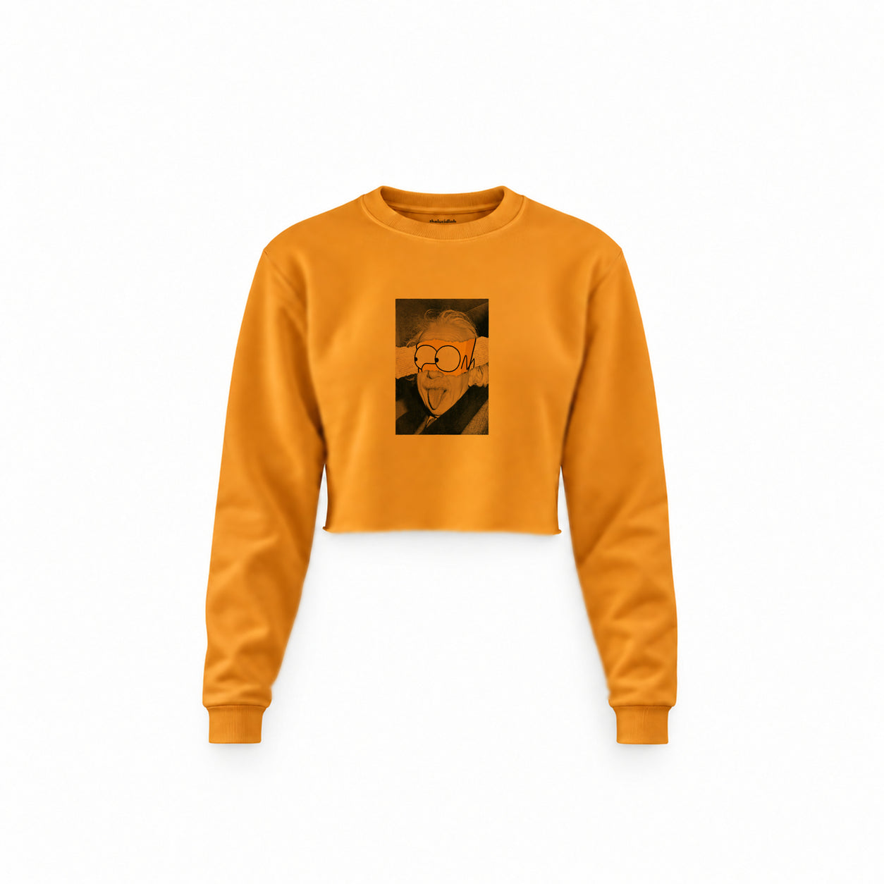 Albert Einstein / Homer Simpson Crop Sweatshirt — Turuncu — Ön baskı