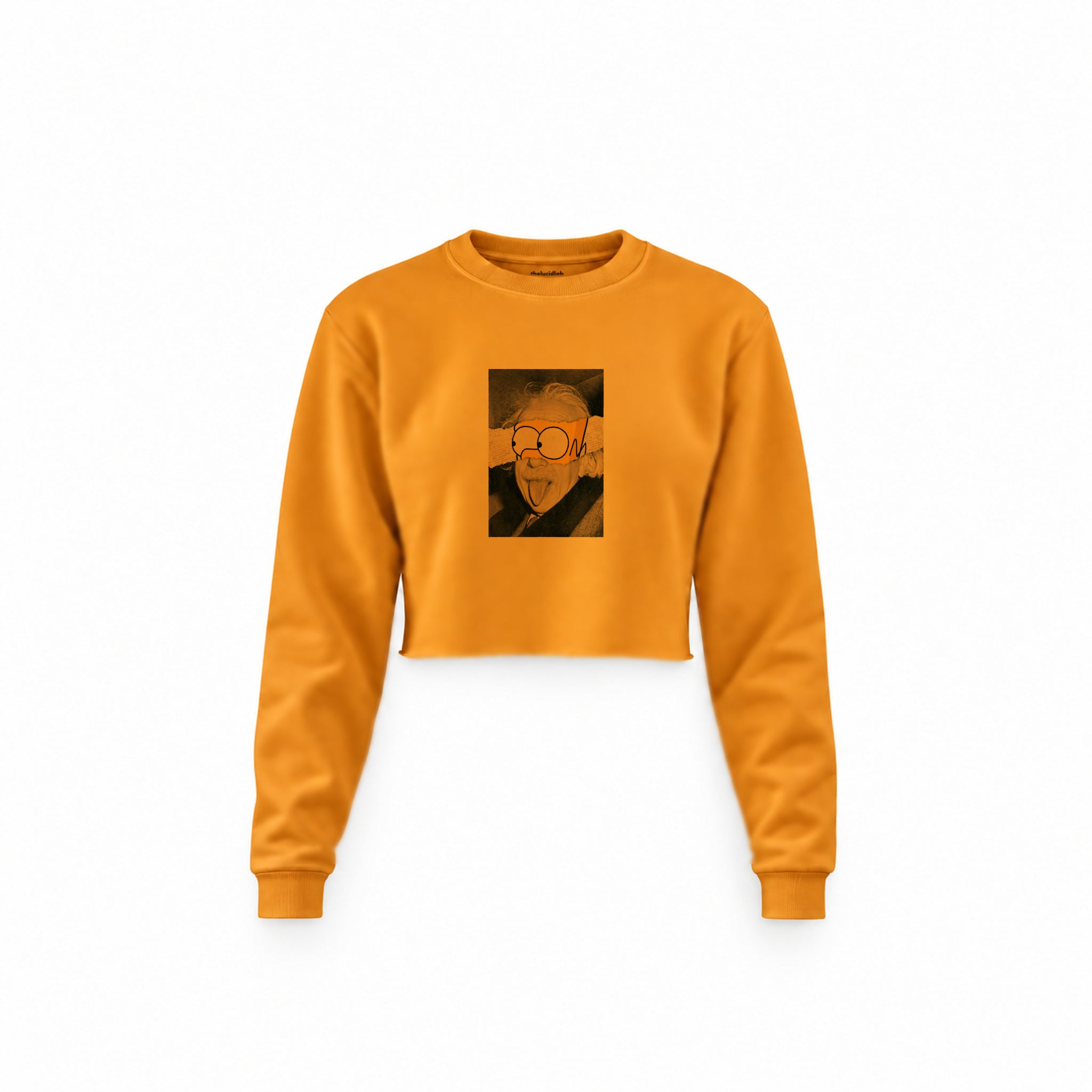Albert Einstein / Homer Simpson Crop Sweatshirt — Turuncu — Ön baskı