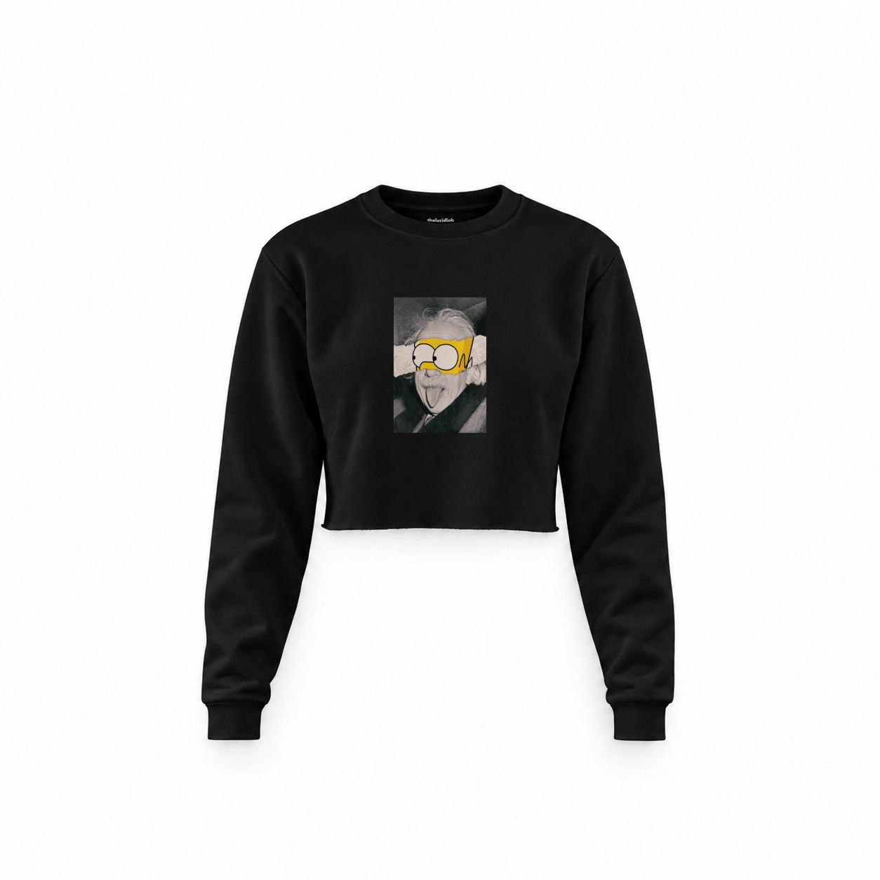Albert Einstein / Homer Simpson Crop Sweatshirt — Siyah — Ön baskı