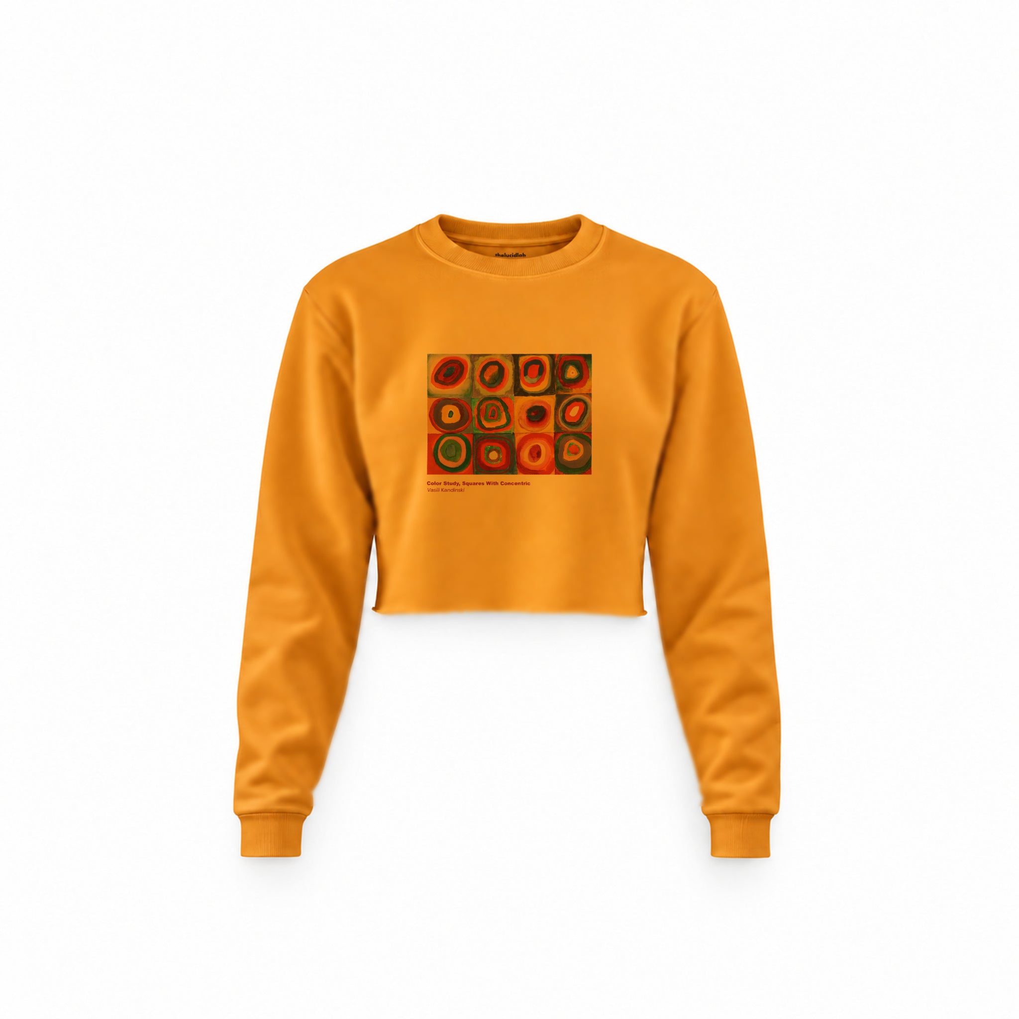Color Study, Squares With Concentric Circles Crop Sweatshirt — Turuncu — Ön baskı