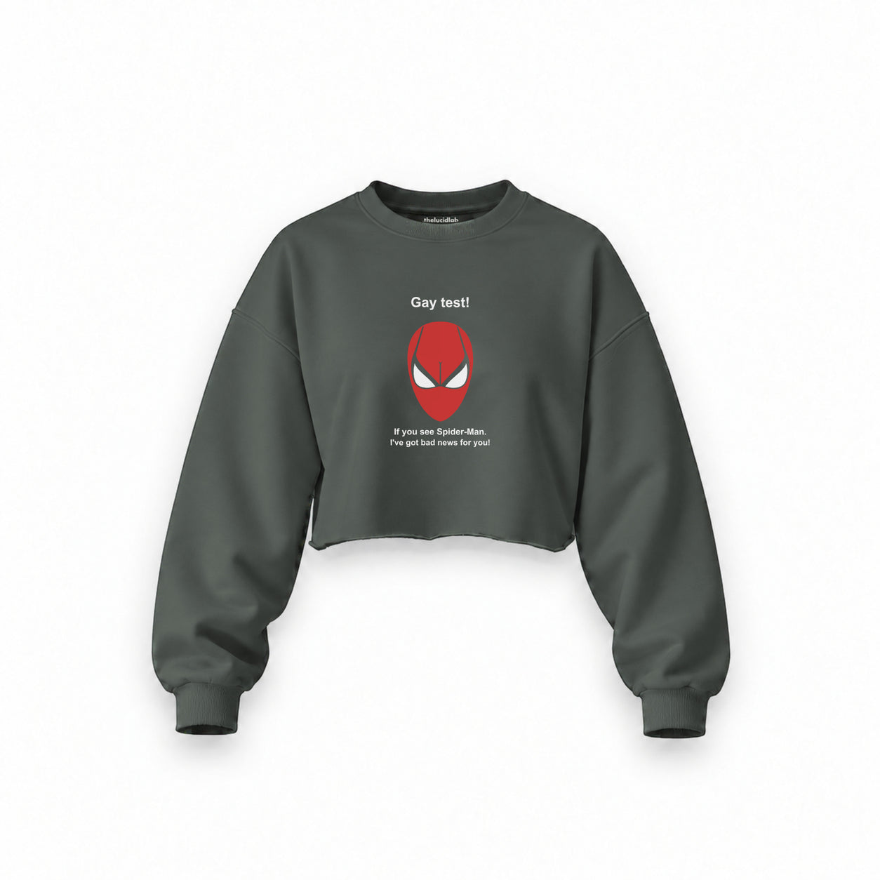 Gay Test - Spider-Man Oversize Crop Sweatshirt — Antrasit — Ön baskı