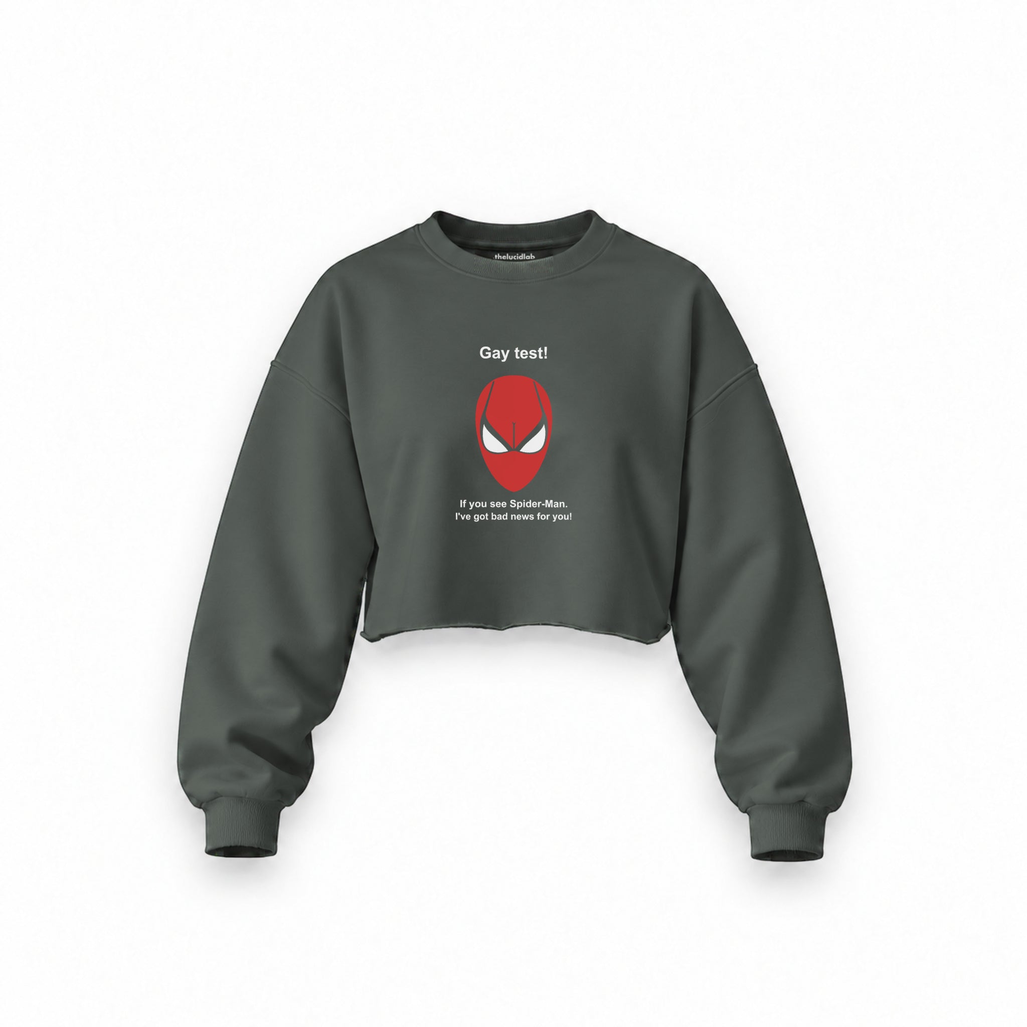 Gay Test - Spider-Man Oversize Crop Sweatshirt — Antrasit — Ön baskı