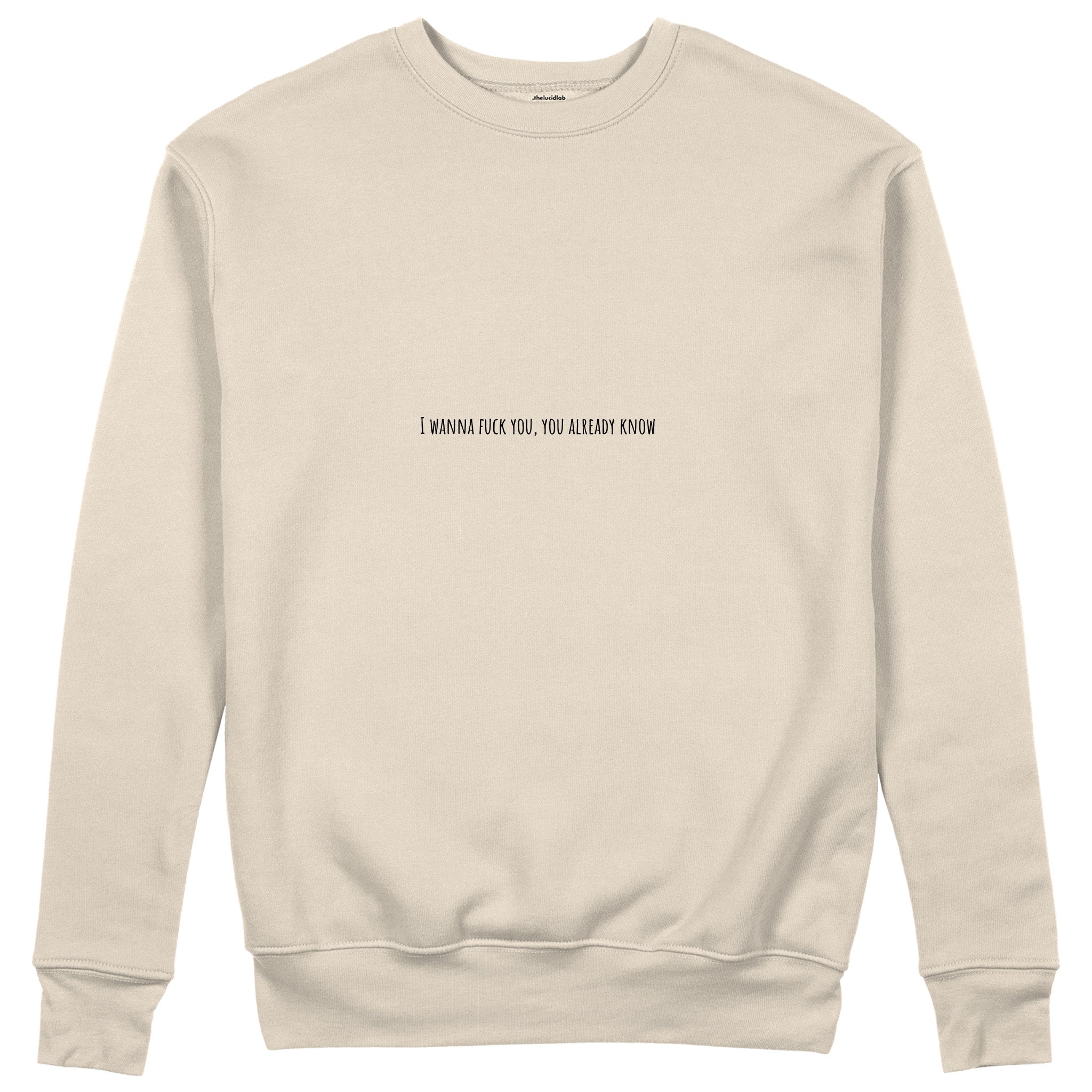 I Wanna Fuck You, You Already Know Sweatshirt - Bej - ön görünüm