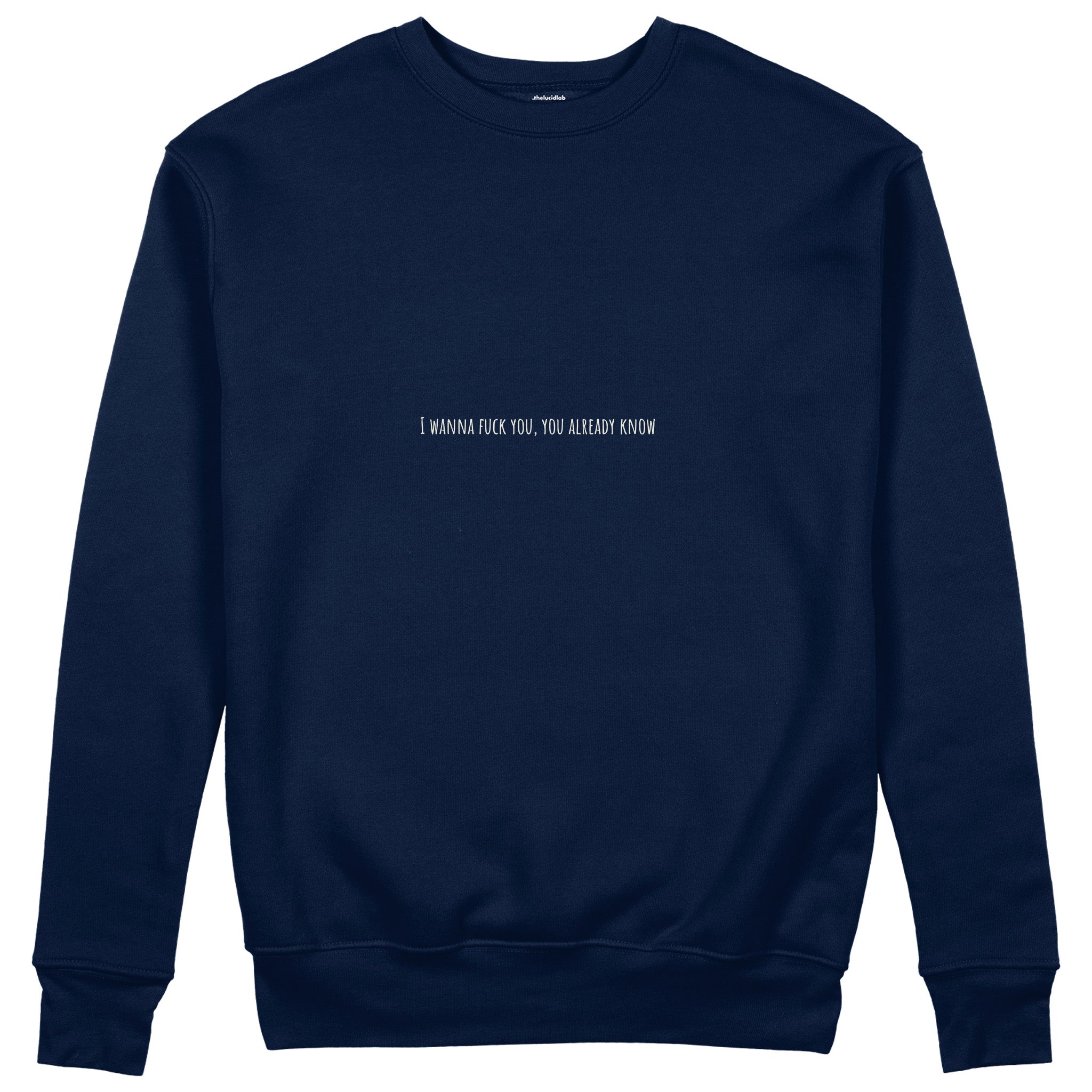 I Wanna Fuck You, You Already Know Sweatshirt - Lacivert - ön görünüm