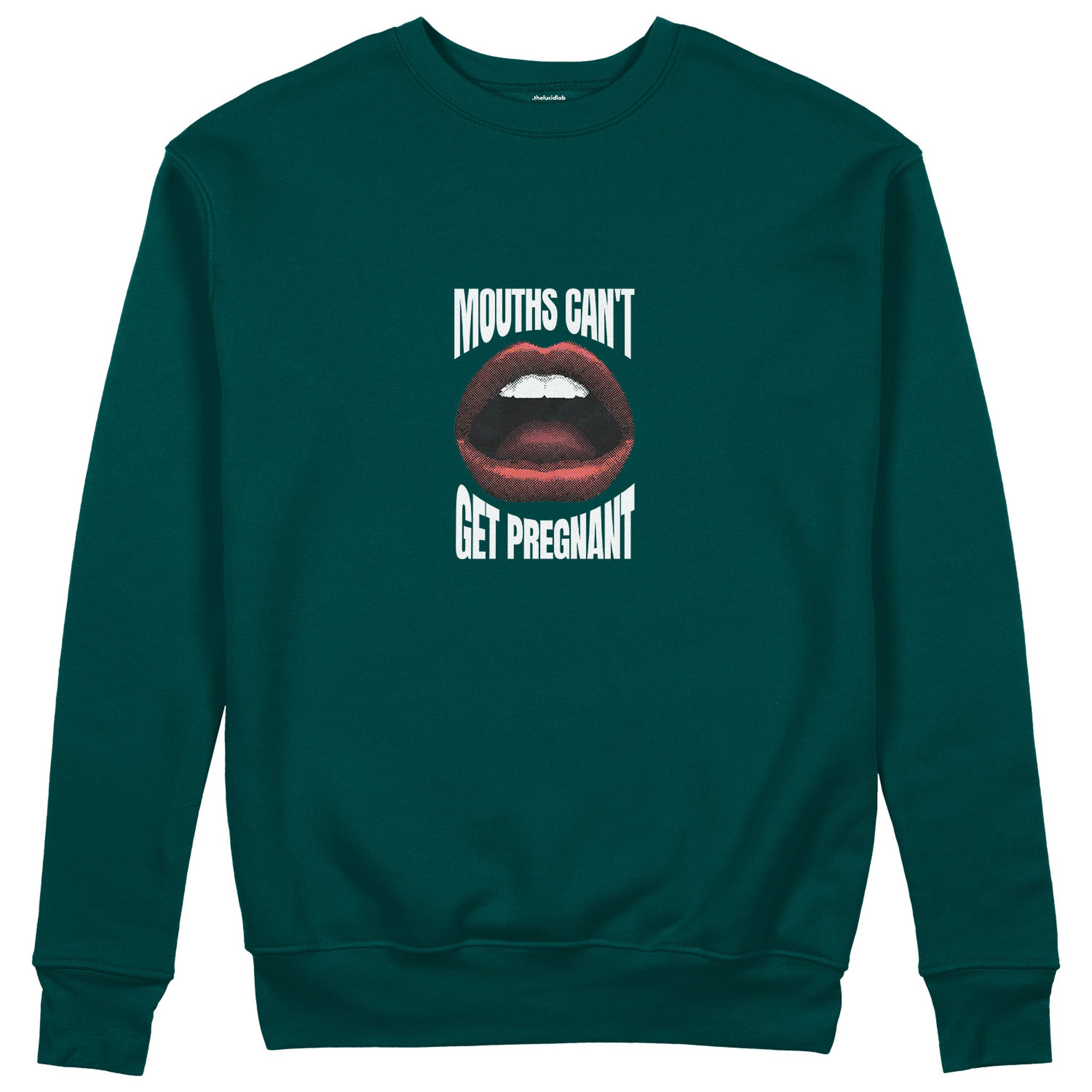 Mouths Can't Get Pregnant Sweatshirt - Antrasit - ön görünüm