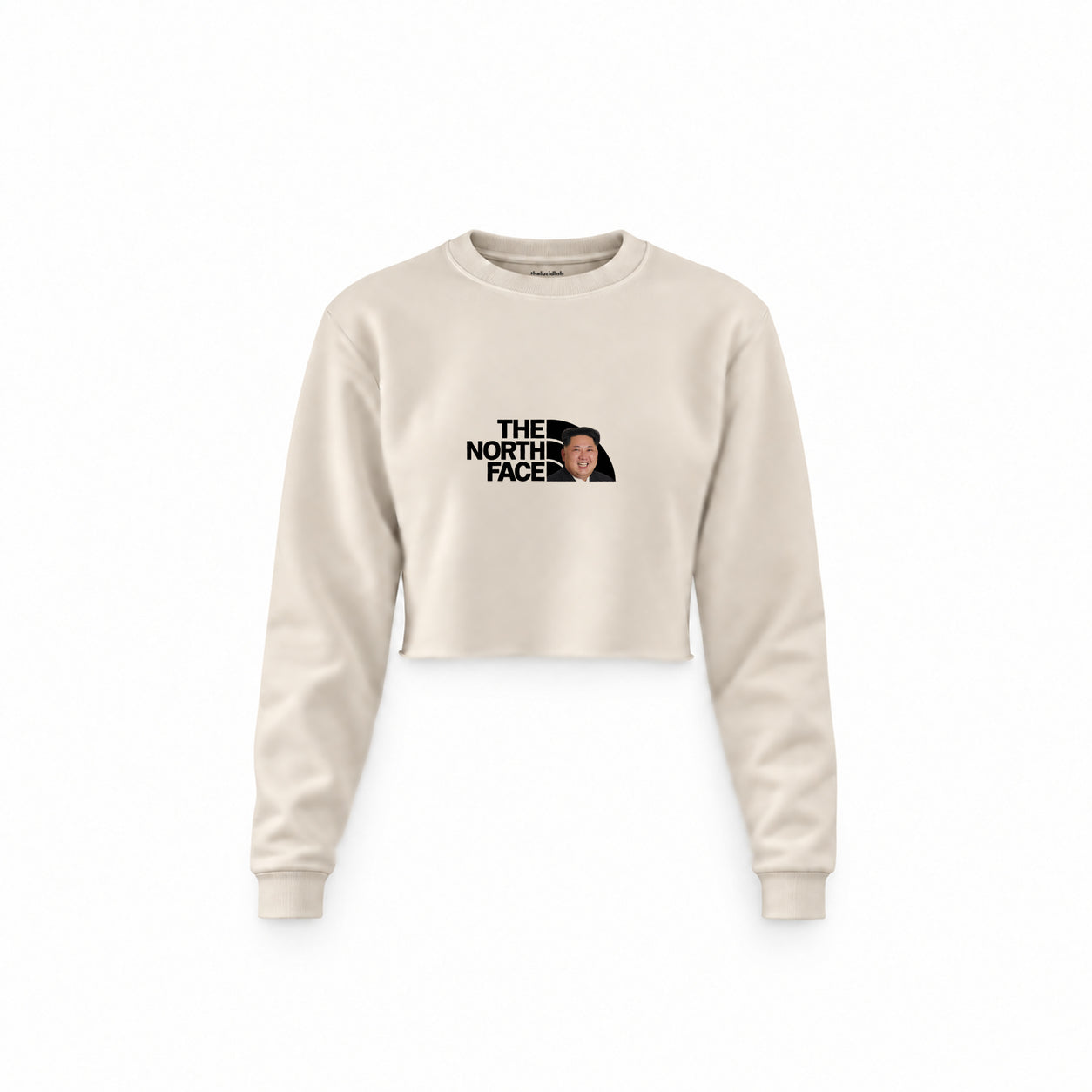 North Face Crop Sweatshirt — Krem — Ön baskı