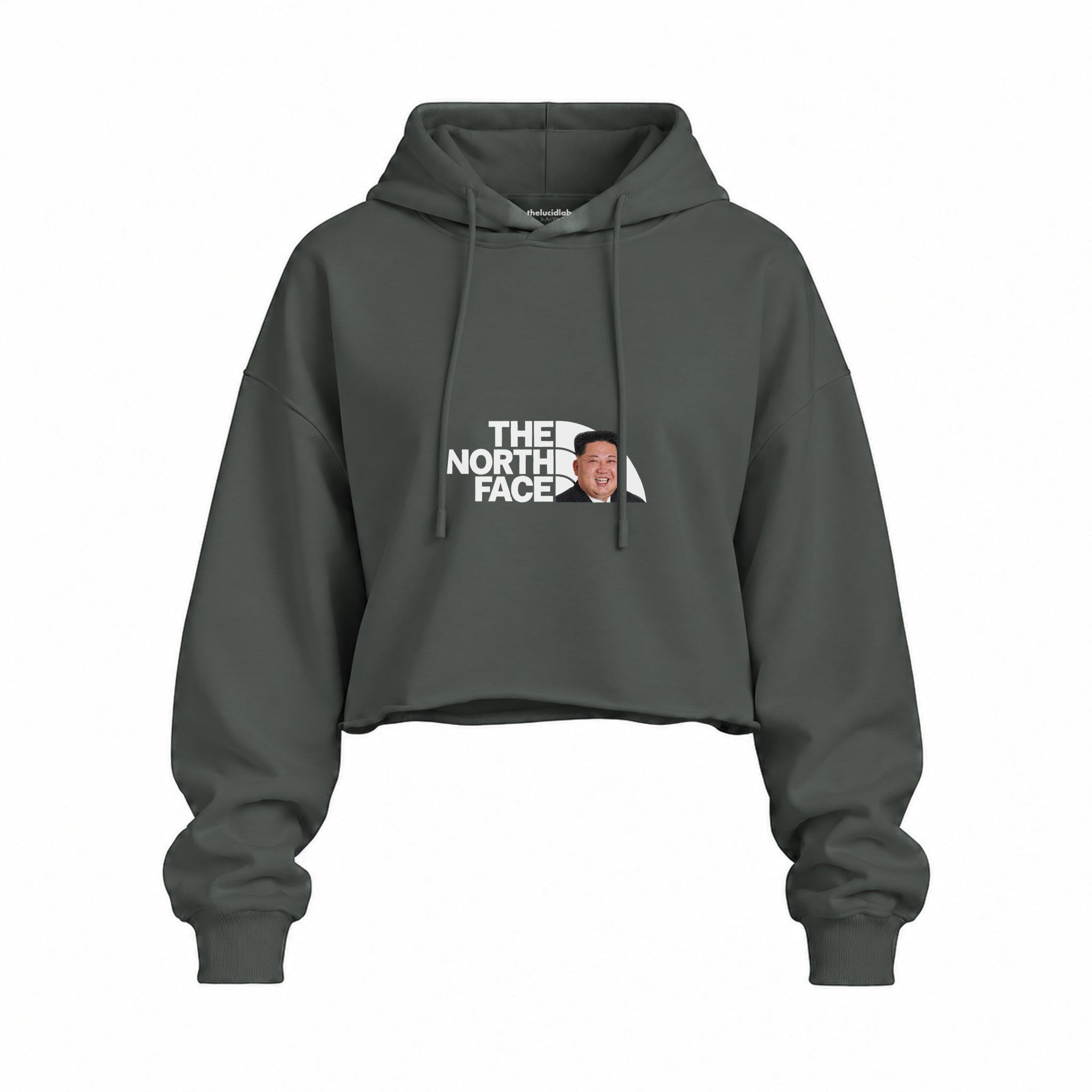 North Face Oversize Crop Hoodie — Antrasit — Ön baskı