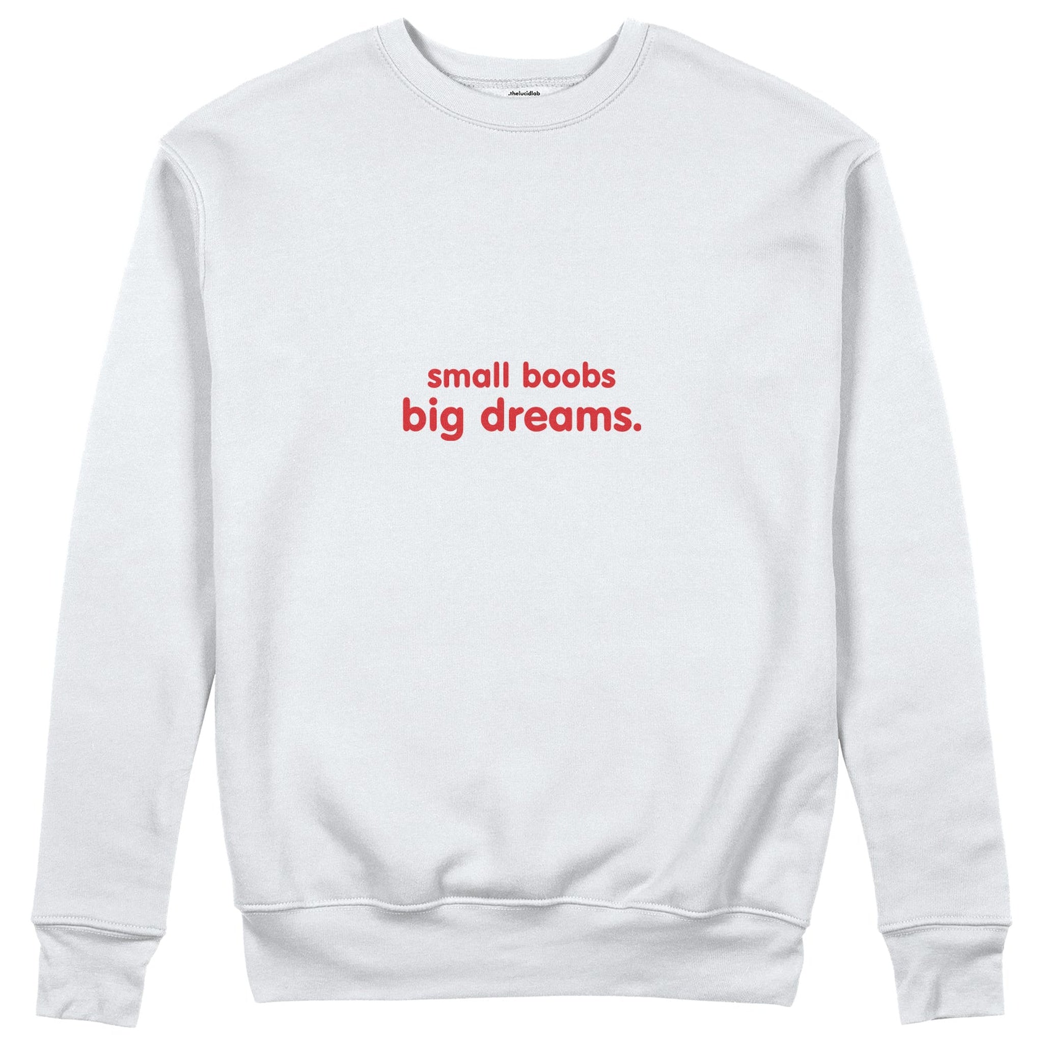 Small Boobs Big Dreams Sweatshirt