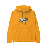 The Creation Hoodie