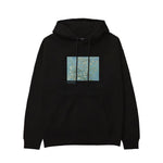 Almond Blossoms Hoodie