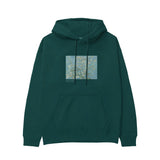 Almond Blossoms Hoodie