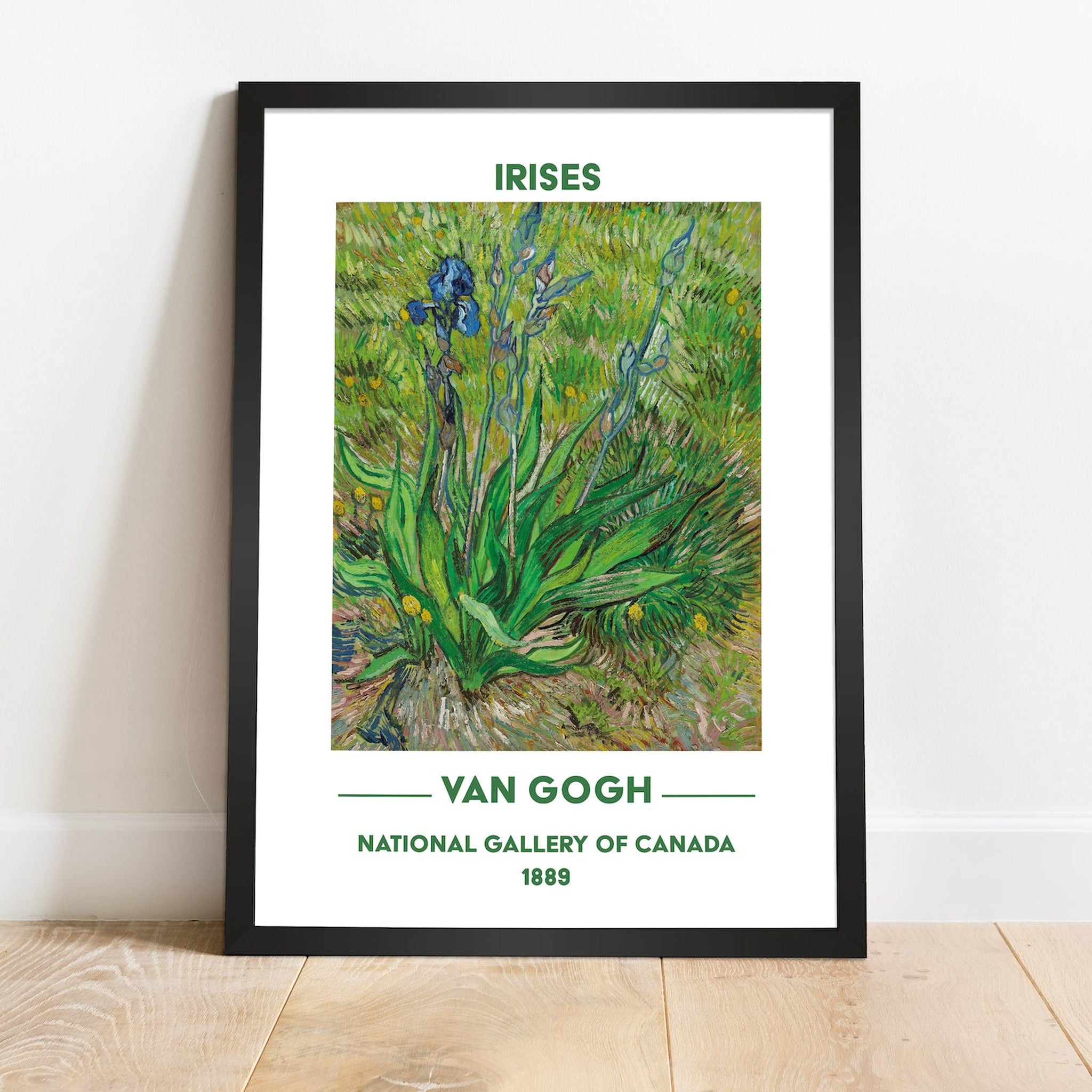 Irises - İrisler Poster