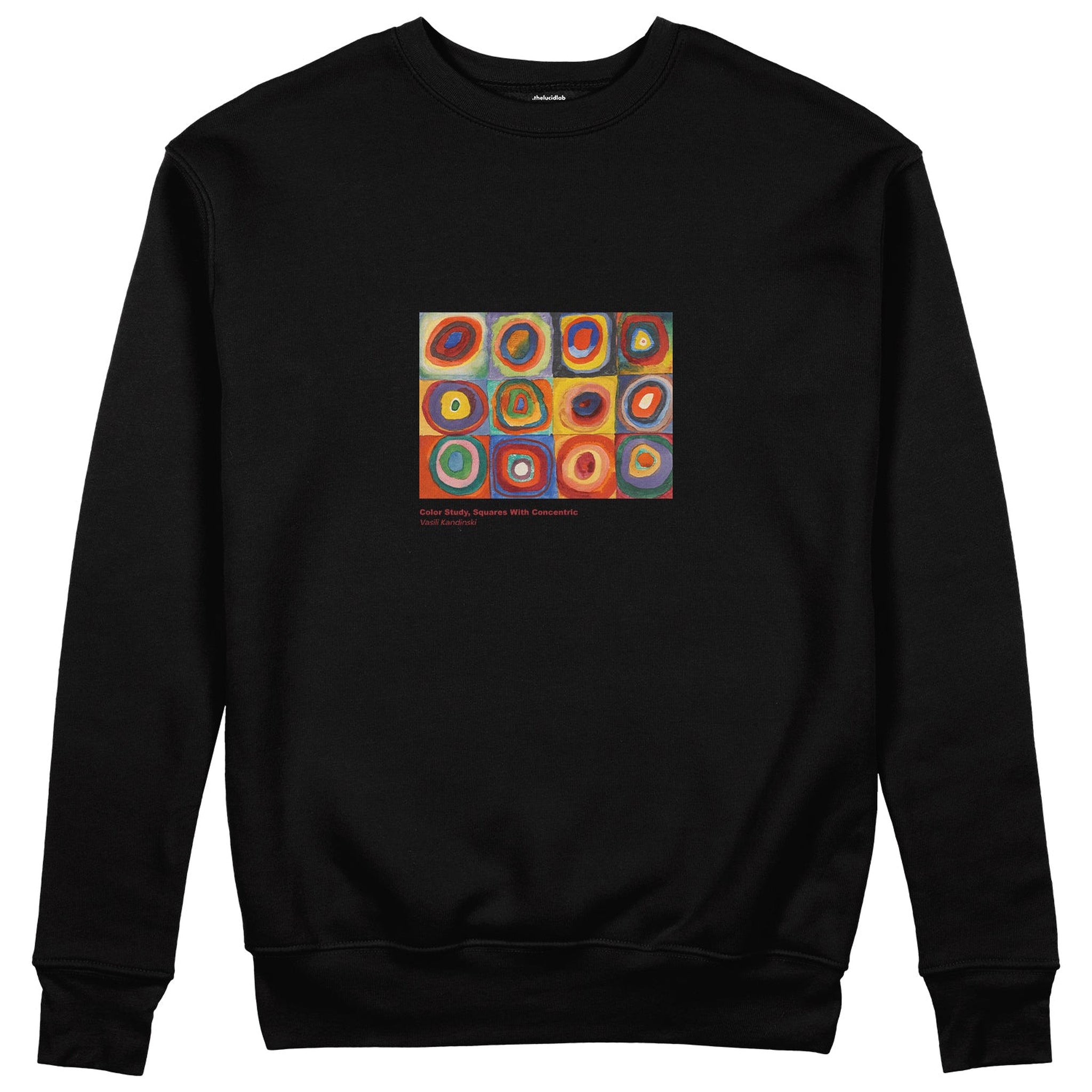 Color Study, Squares With Concentric Circles Sweatshirt