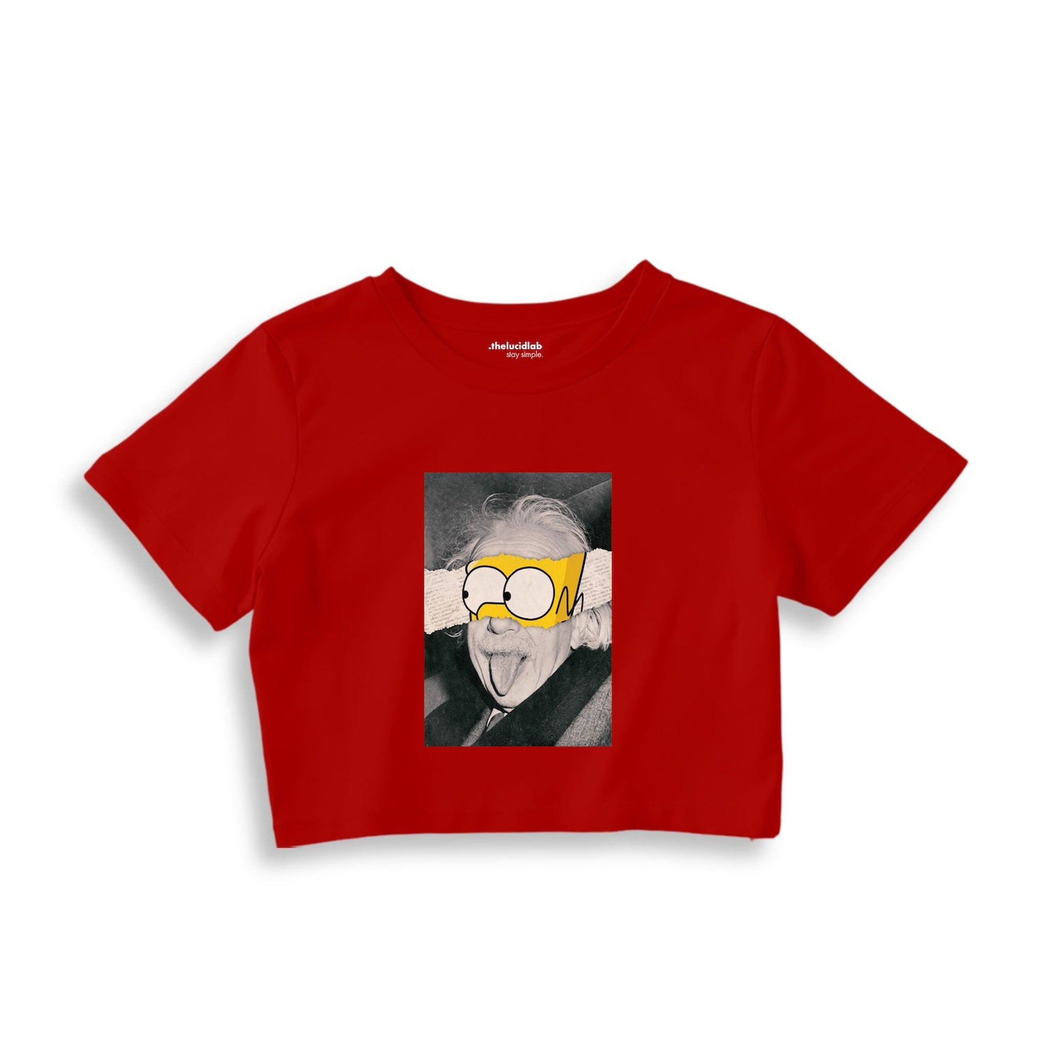 Albert Einstein / Homer Simpson Crop Tişört