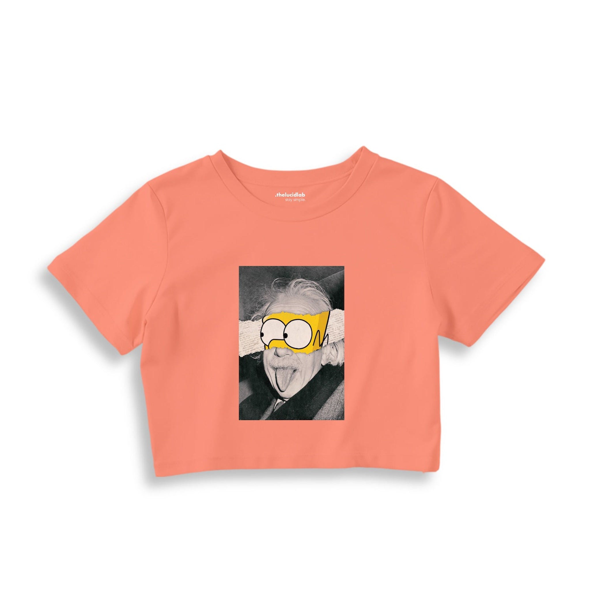 Albert Einstein / Homer Simpson Crop Tişört