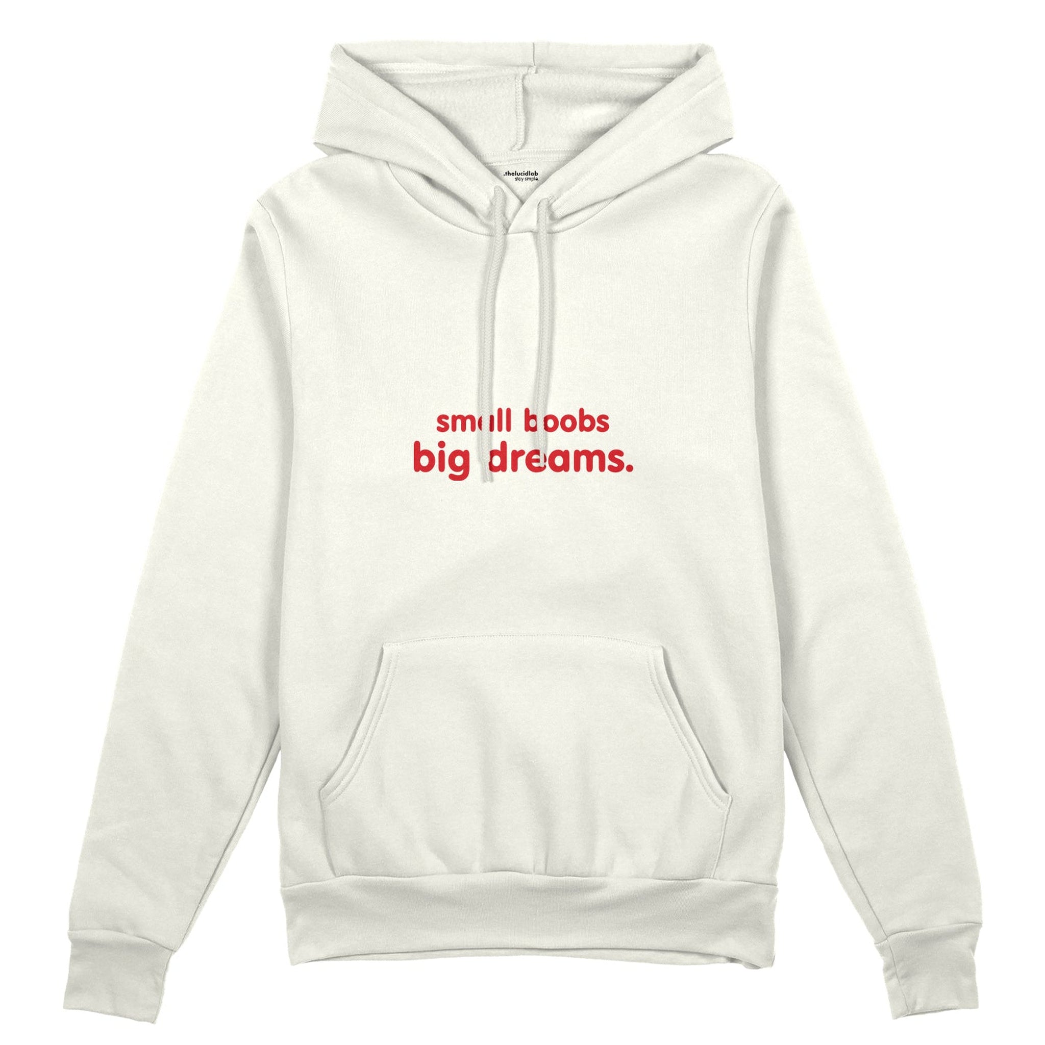 Small Boobs Big Dreams Oversize Hoodie