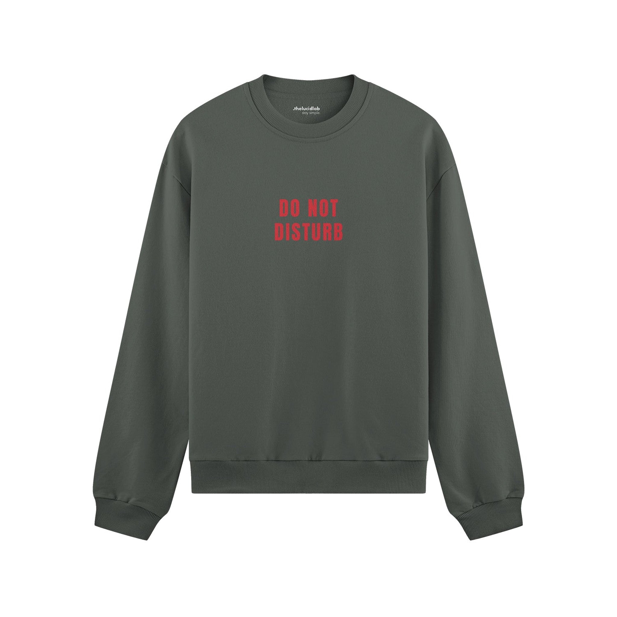 Do Not Disturb Oversize Sweatshirt