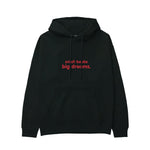Small Boobs Big Dreams Hoodie