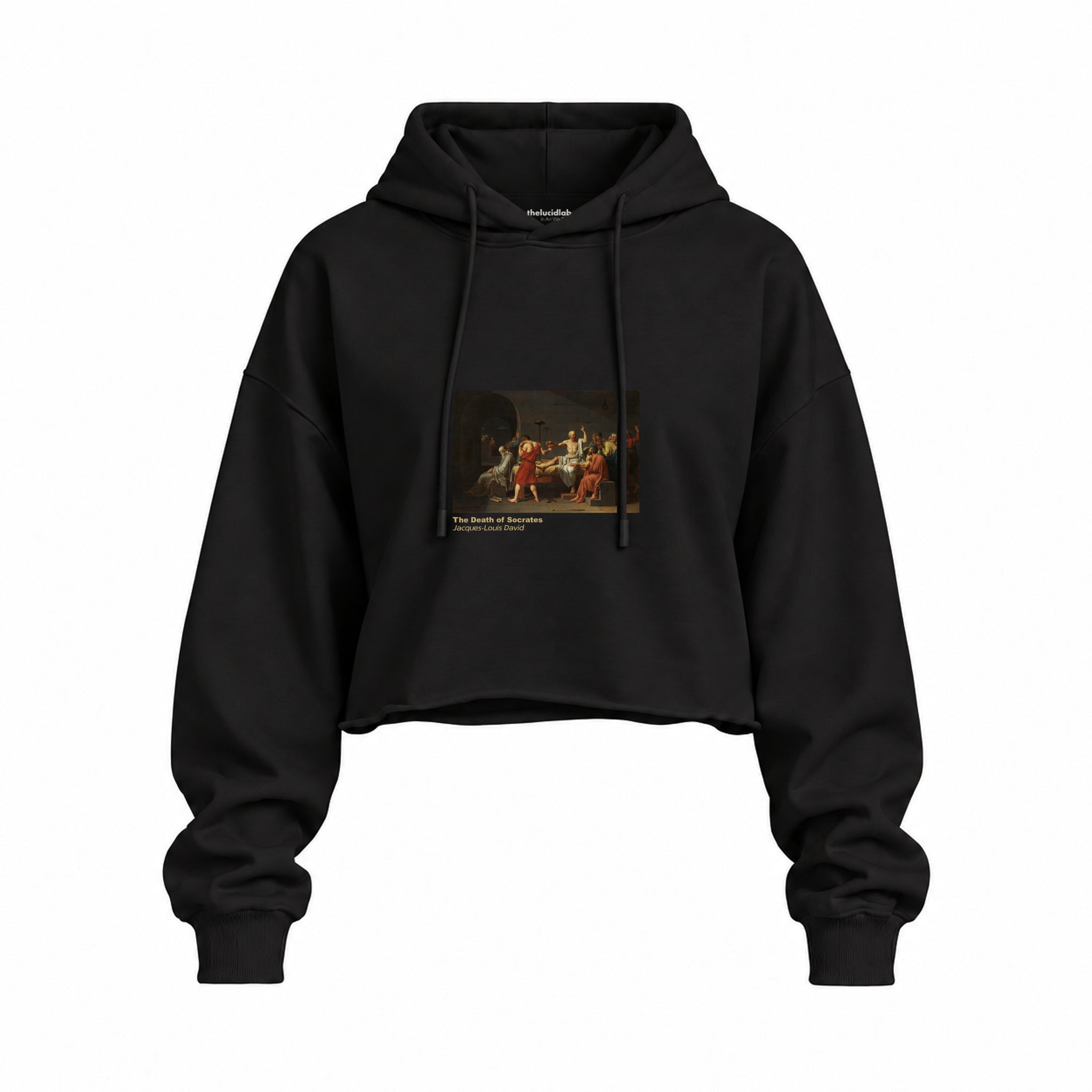 The Death of Socrates Oversize Crop Hoodie – Siyah