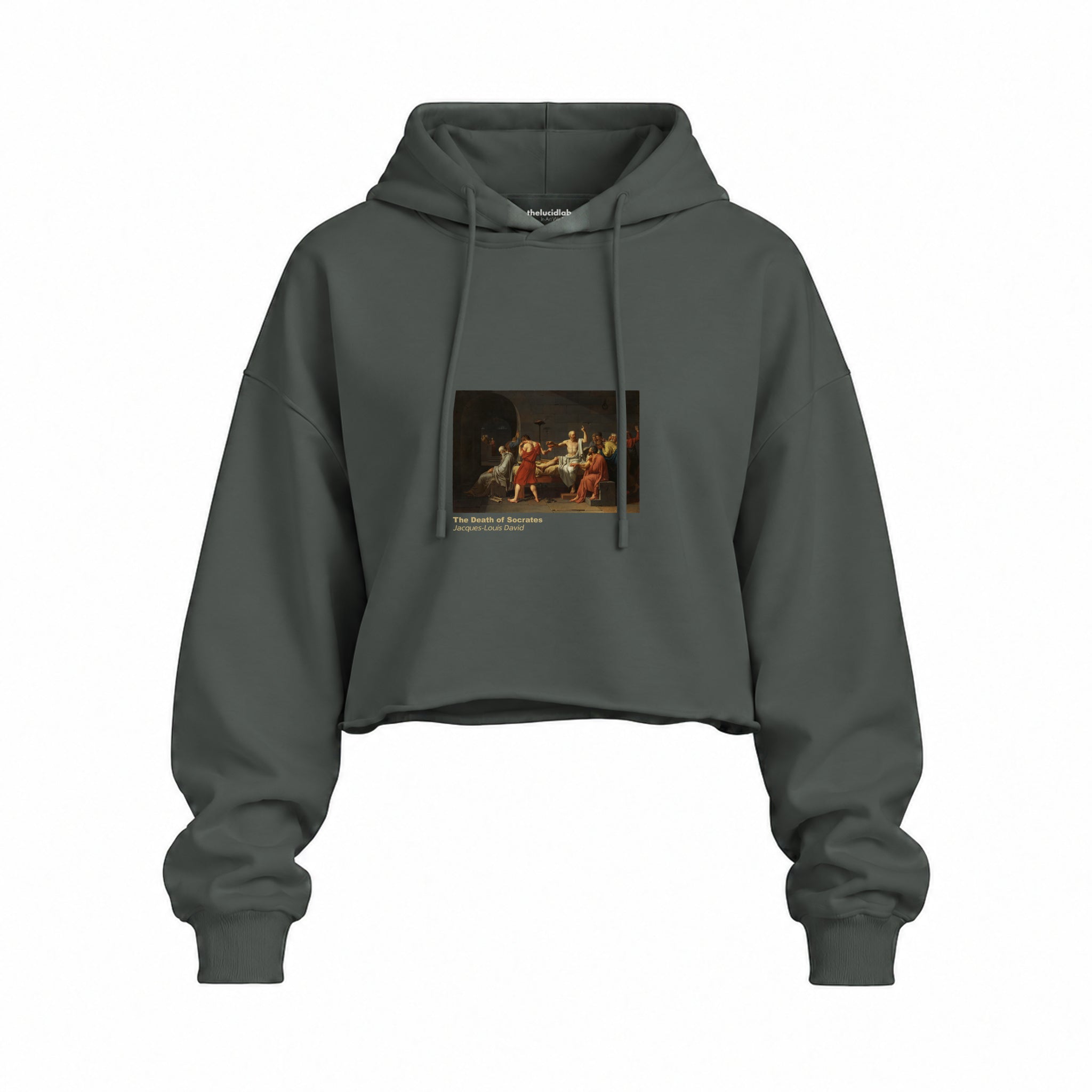 The Death of Socrates Oversize Crop Hoodie – Antrasit