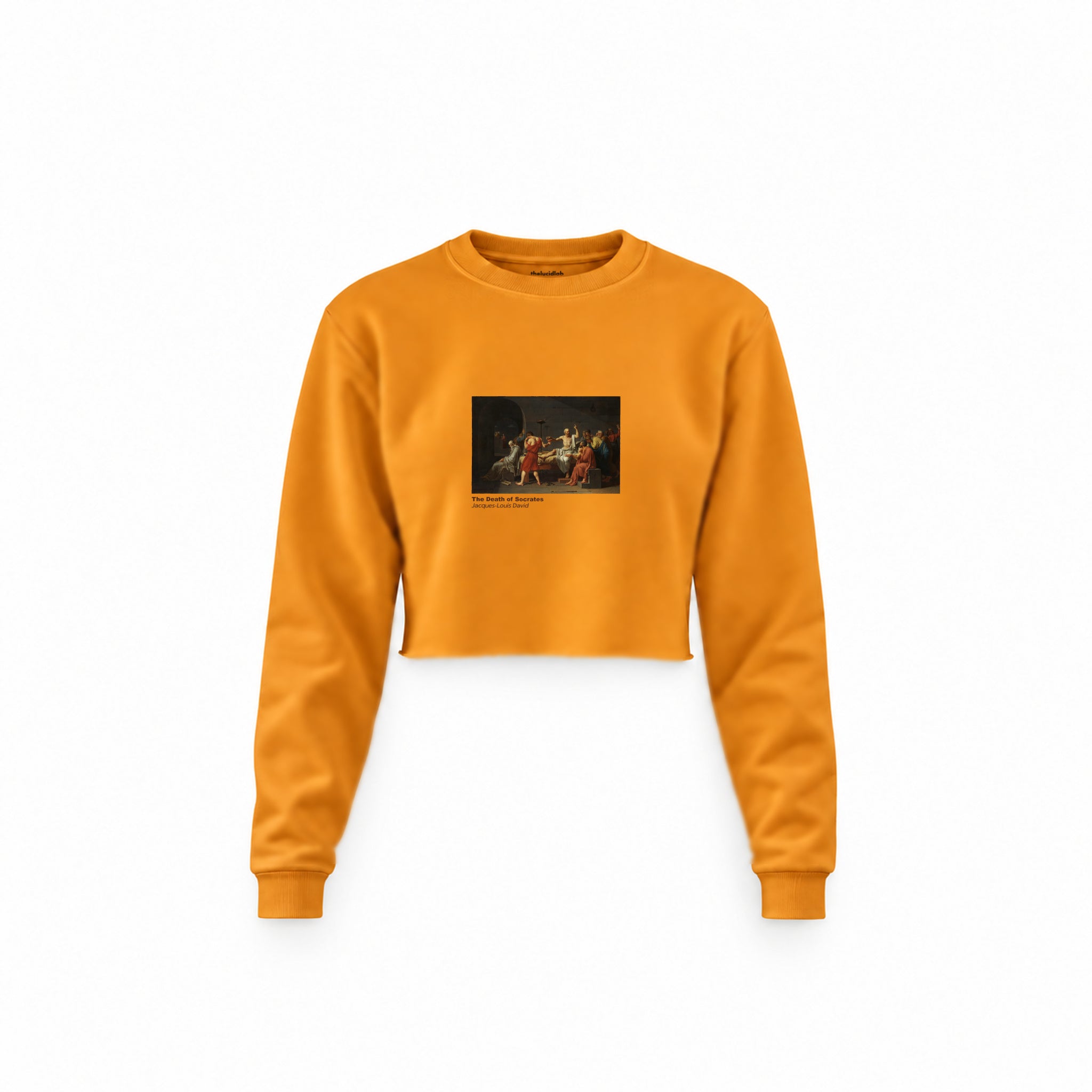 The Death of Socrates Crop Sweatshirt – Turuncu