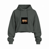 Fierce Catana Oversize Crop Hoodie – Antrasit