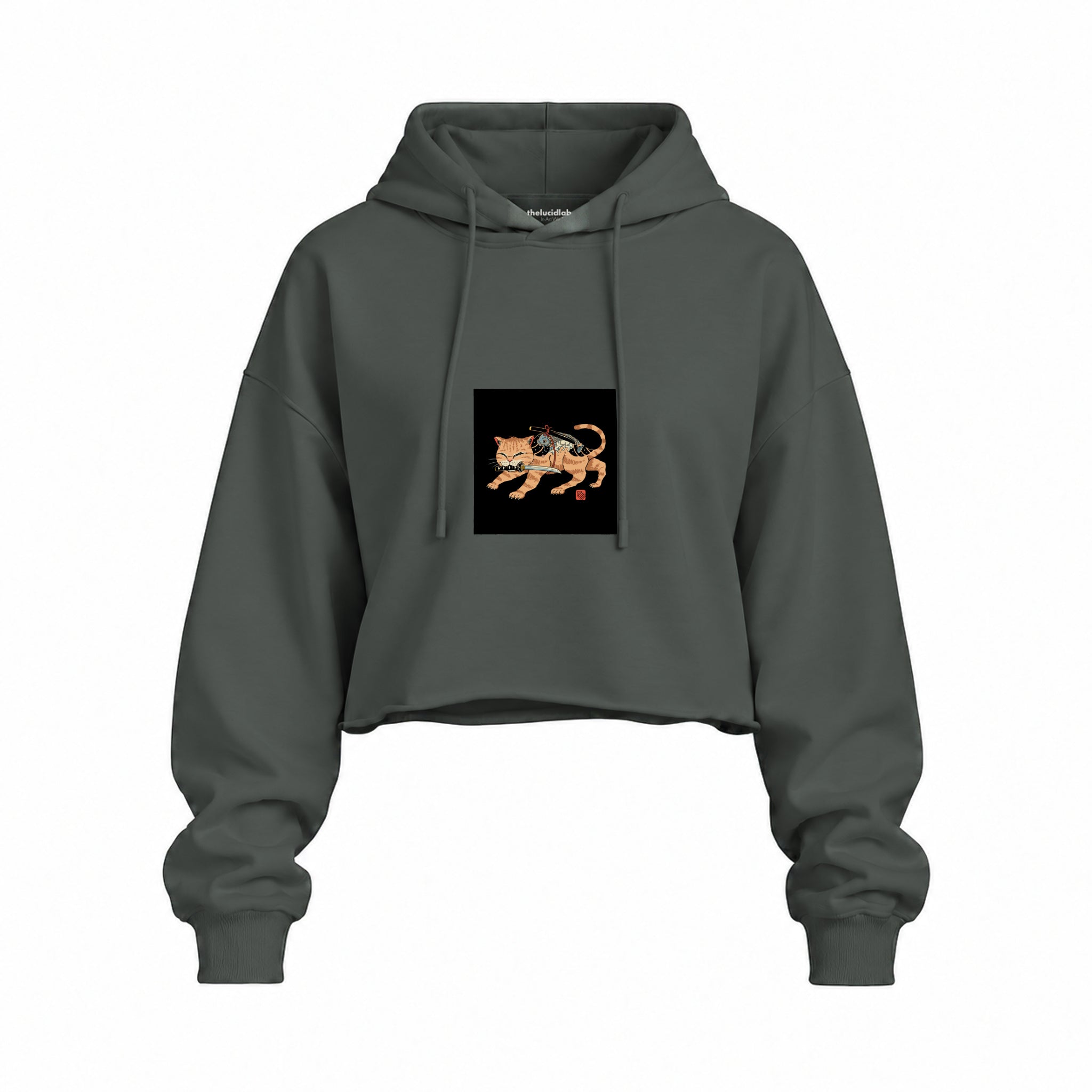 Fierce Catana Oversize Crop Hoodie – Antrasit