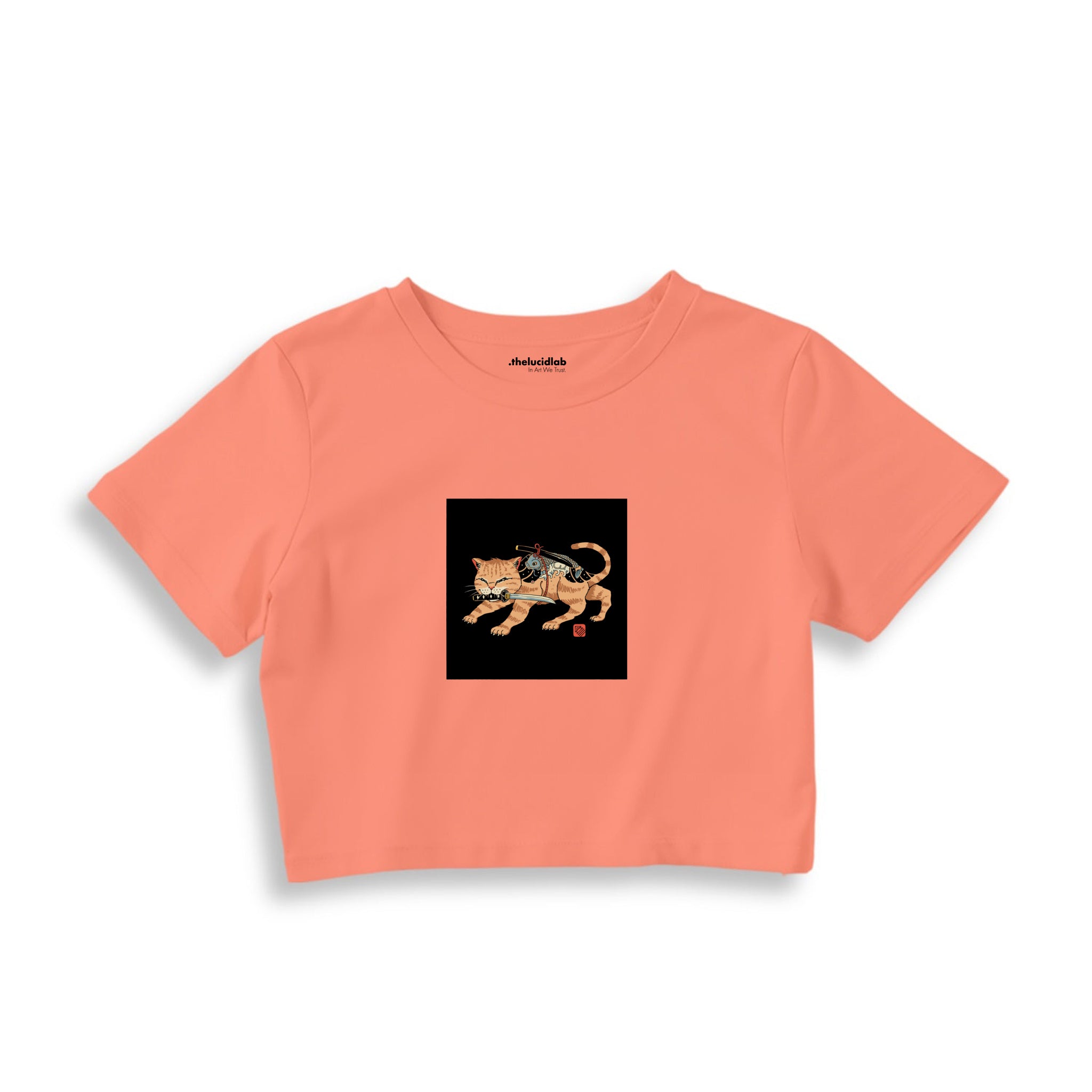 Fierce Catana Crop Tişört – Somon