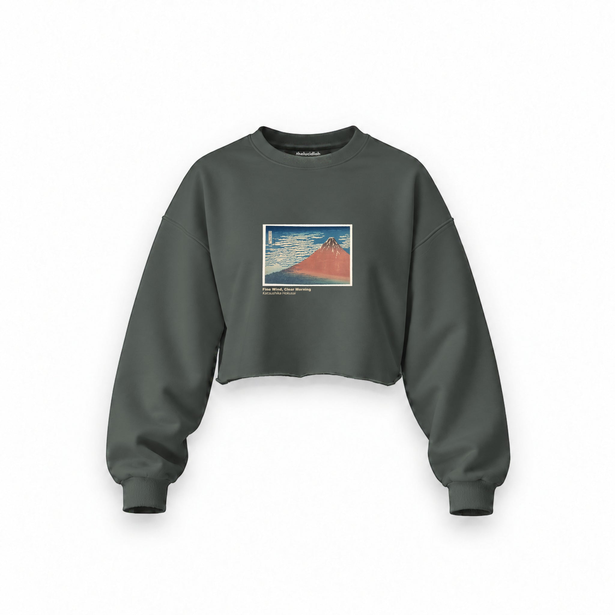 Fine Wind, Clear Morning Oversize Crop Sweatshirt – Antrasit