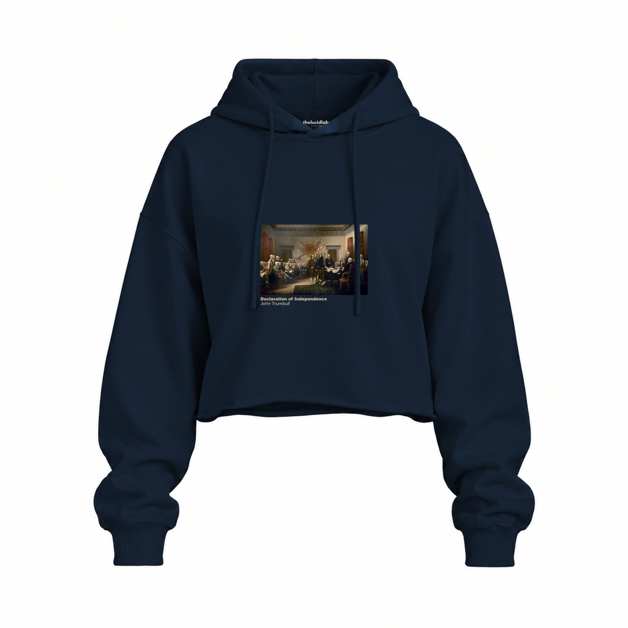 Declaration of Independence Oversize Crop Hoodie – Lacivert
