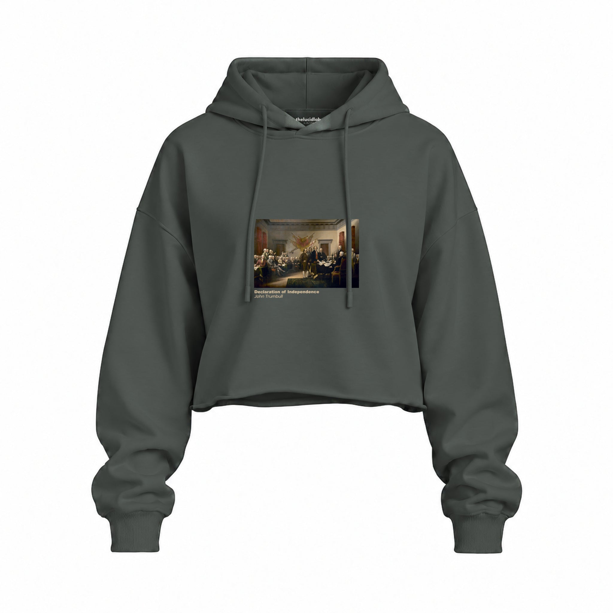 Declaration of Independence Oversize Crop Hoodie – Antrasit