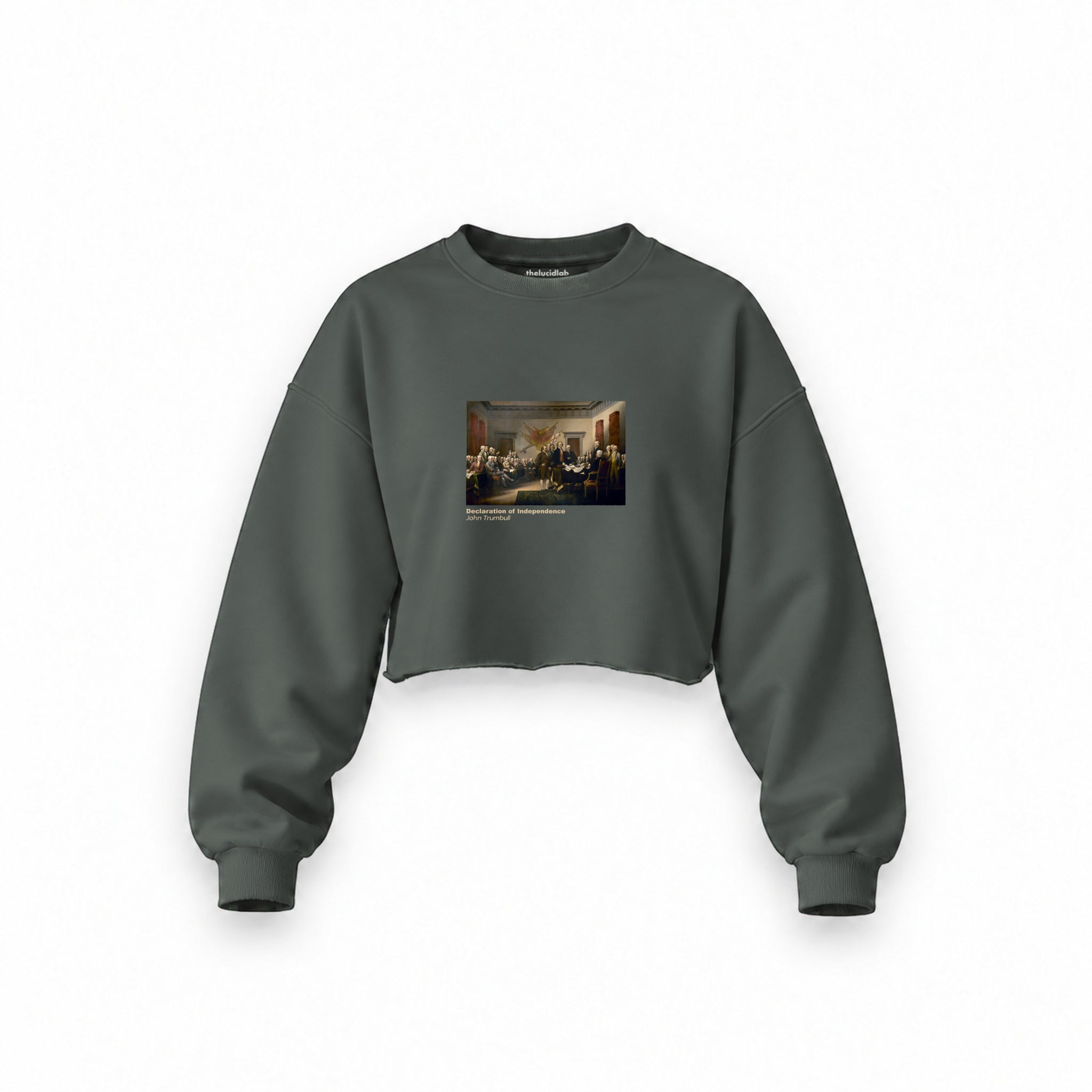 Declaration of Independence Oversize Crop Sweatshirt – Antrasit