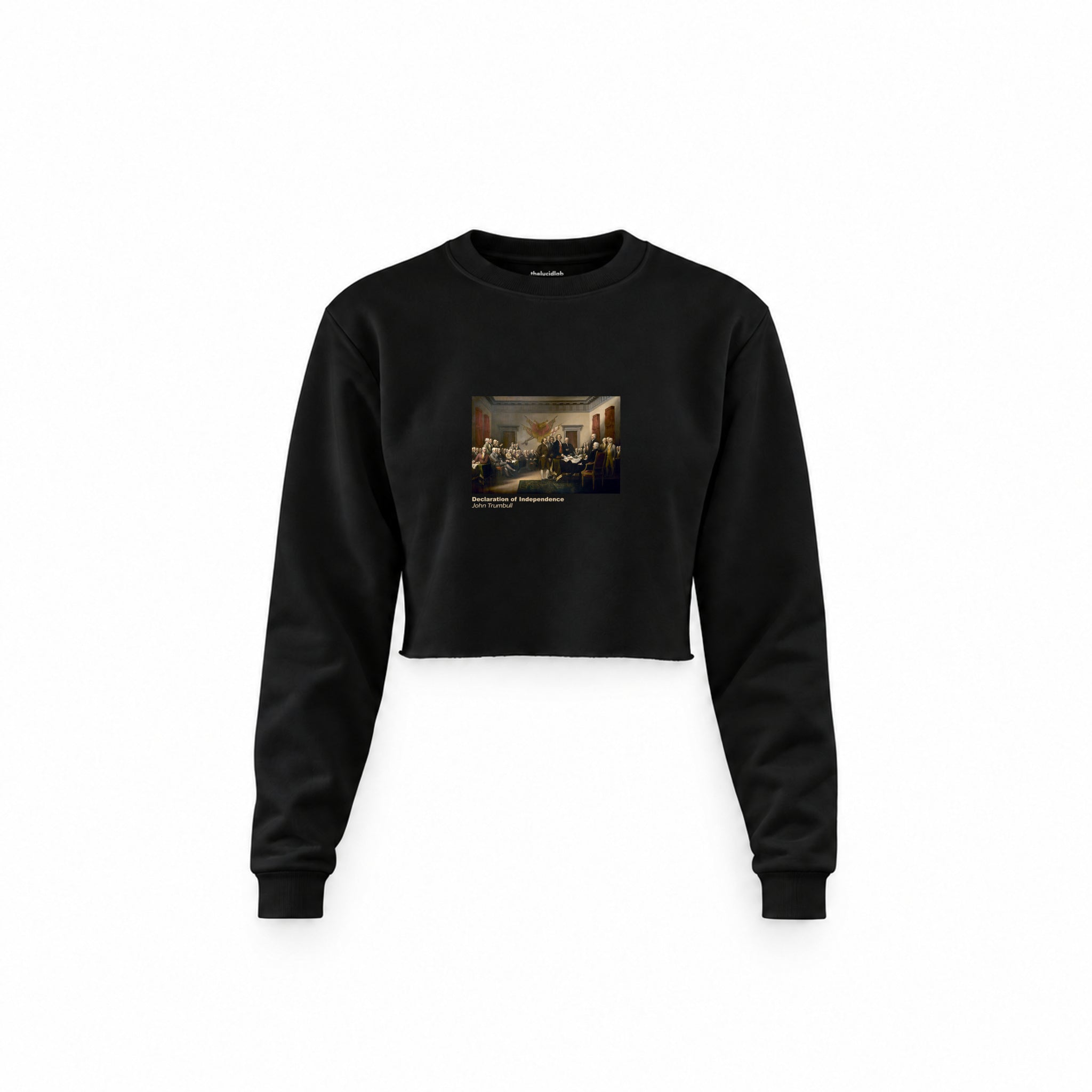 Declaration of Independence Crop Sweatshirt – Siyah
