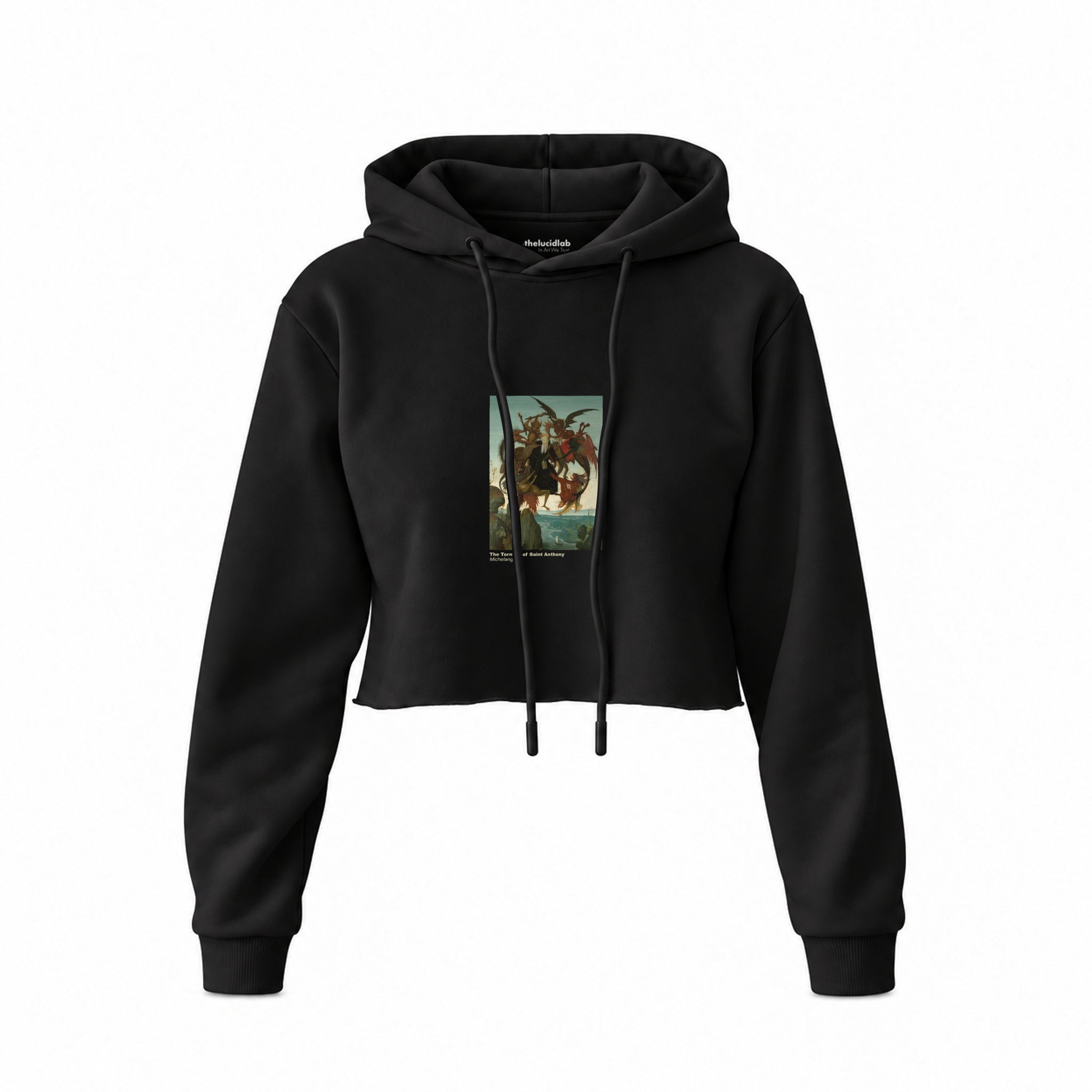 The Torment of Saint Anthony Crop Hoodie – Siyah