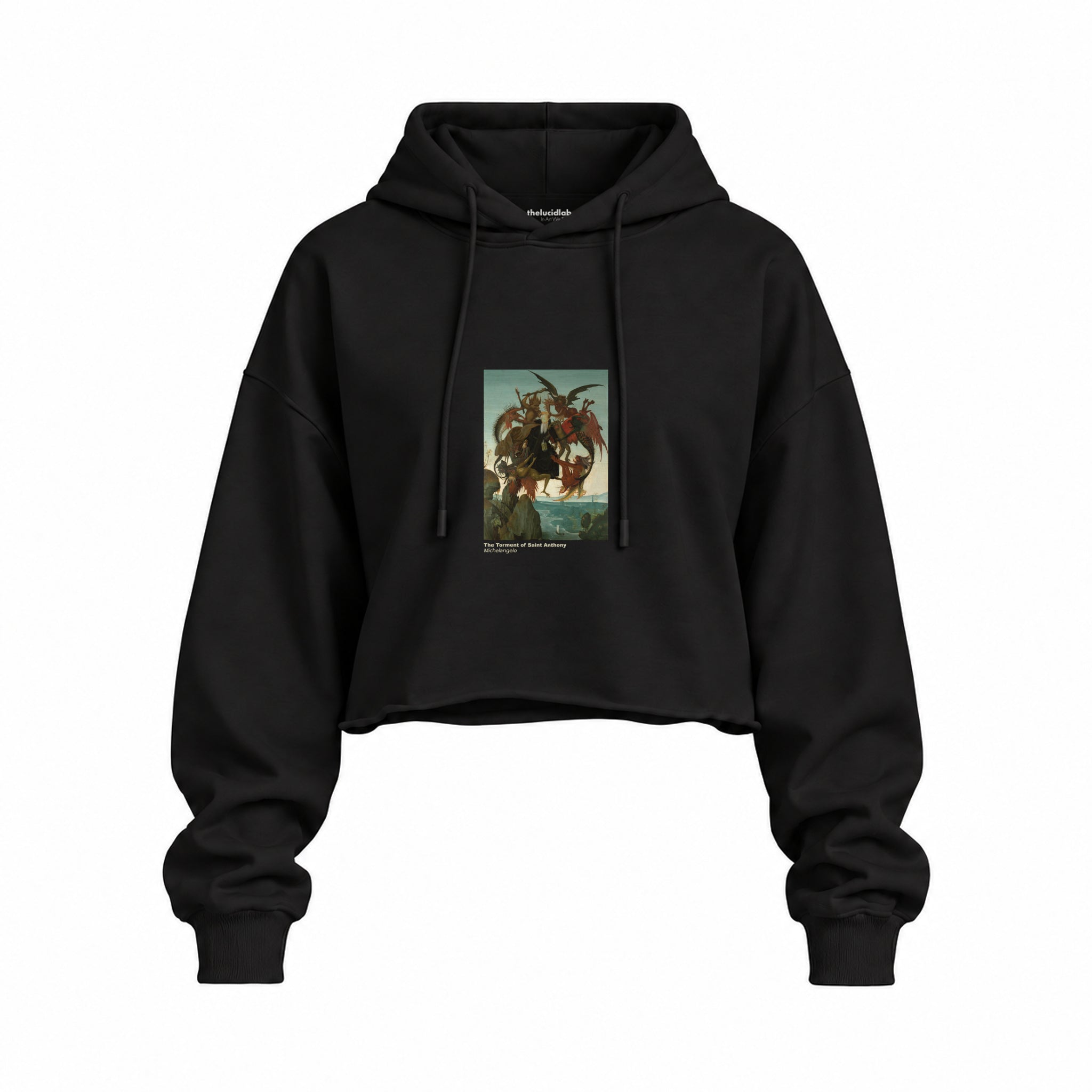 The Torment of Saint Anthony Oversize Crop Hoodie – Siyah
