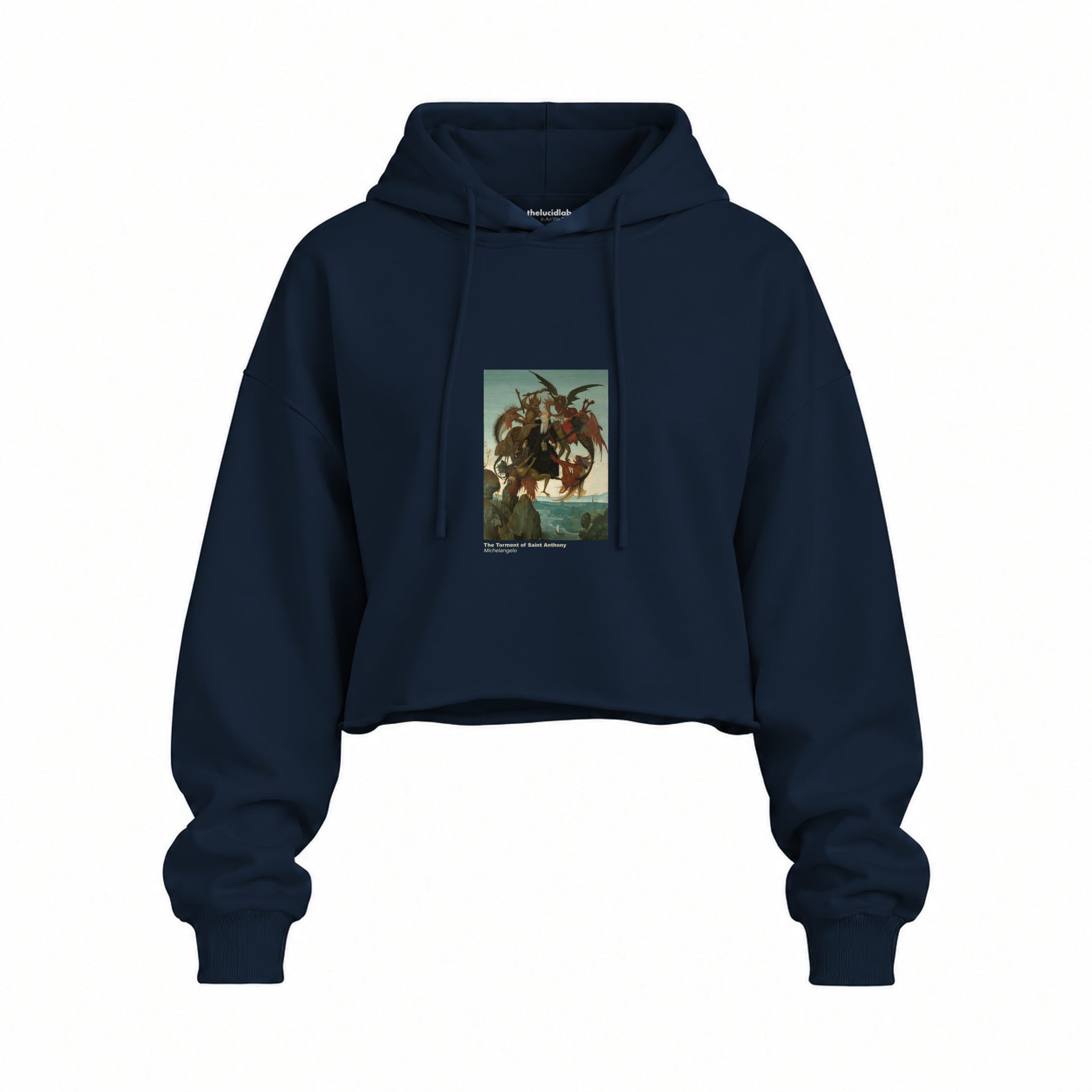 The Torment of Saint Anthony Oversize Crop Hoodie – Lacivert