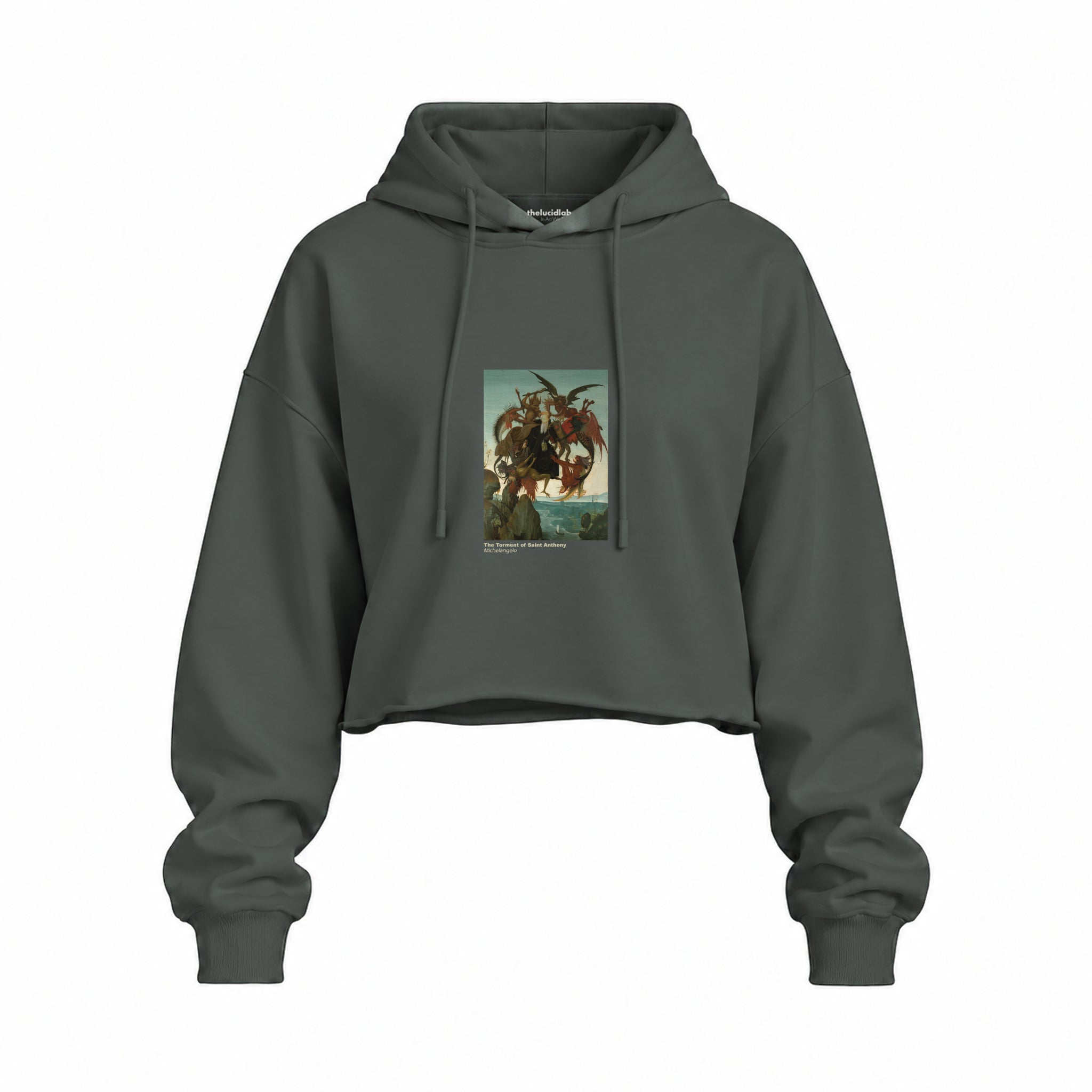 The Torment of Saint Anthony Oversize Crop Hoodie – Antrasit